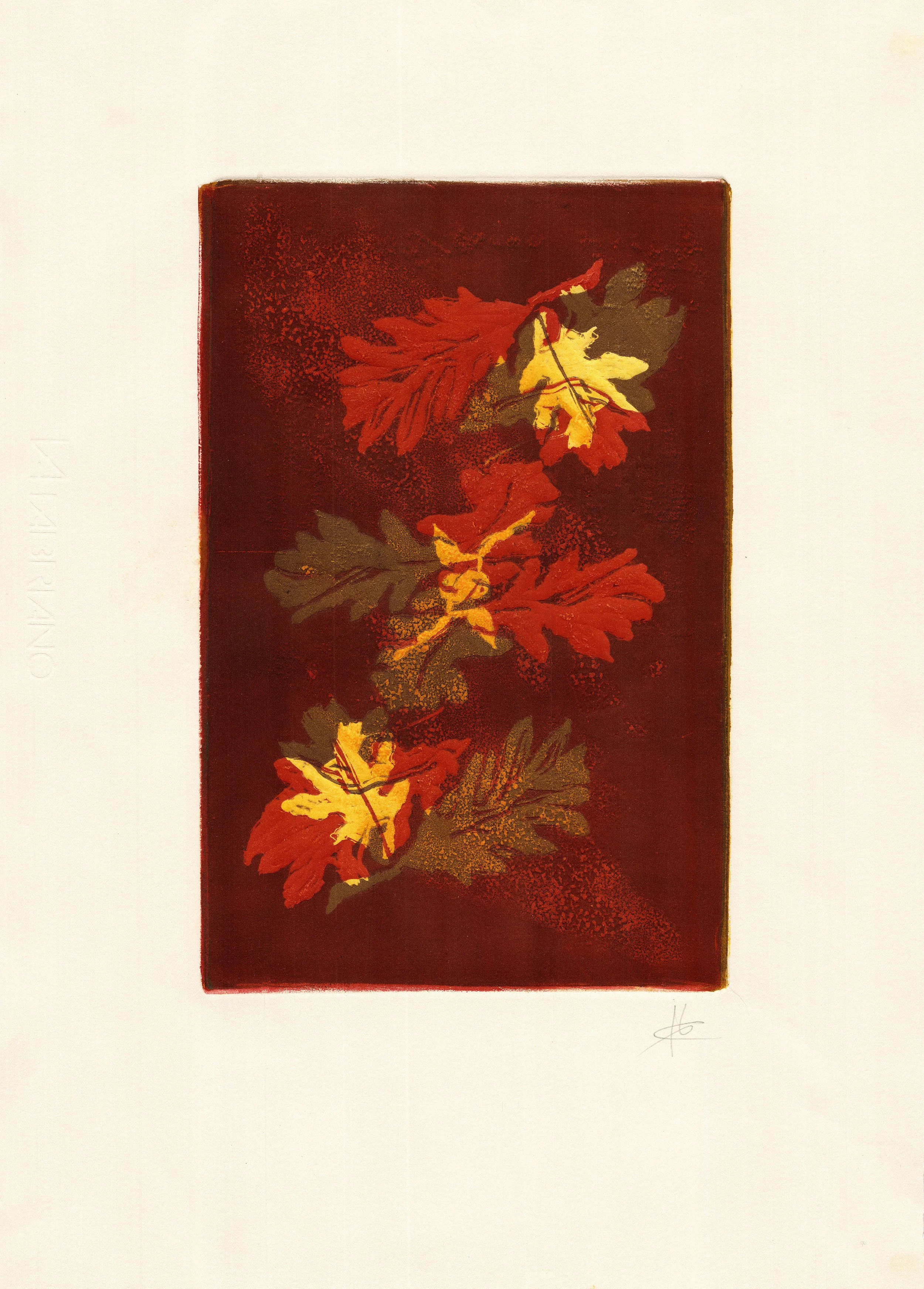 FOLLAS DE CARBALLO I