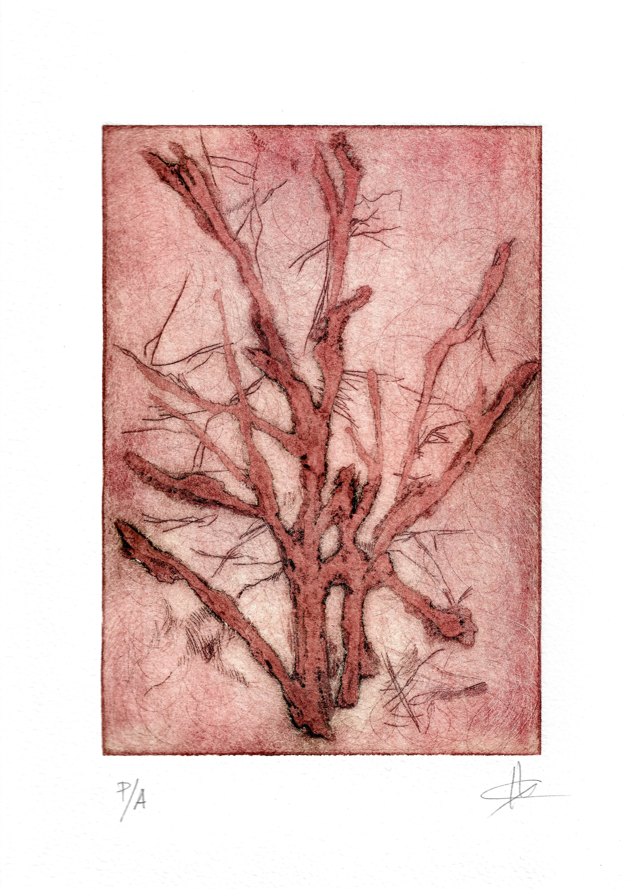 32x25 Grabado copia.jpg