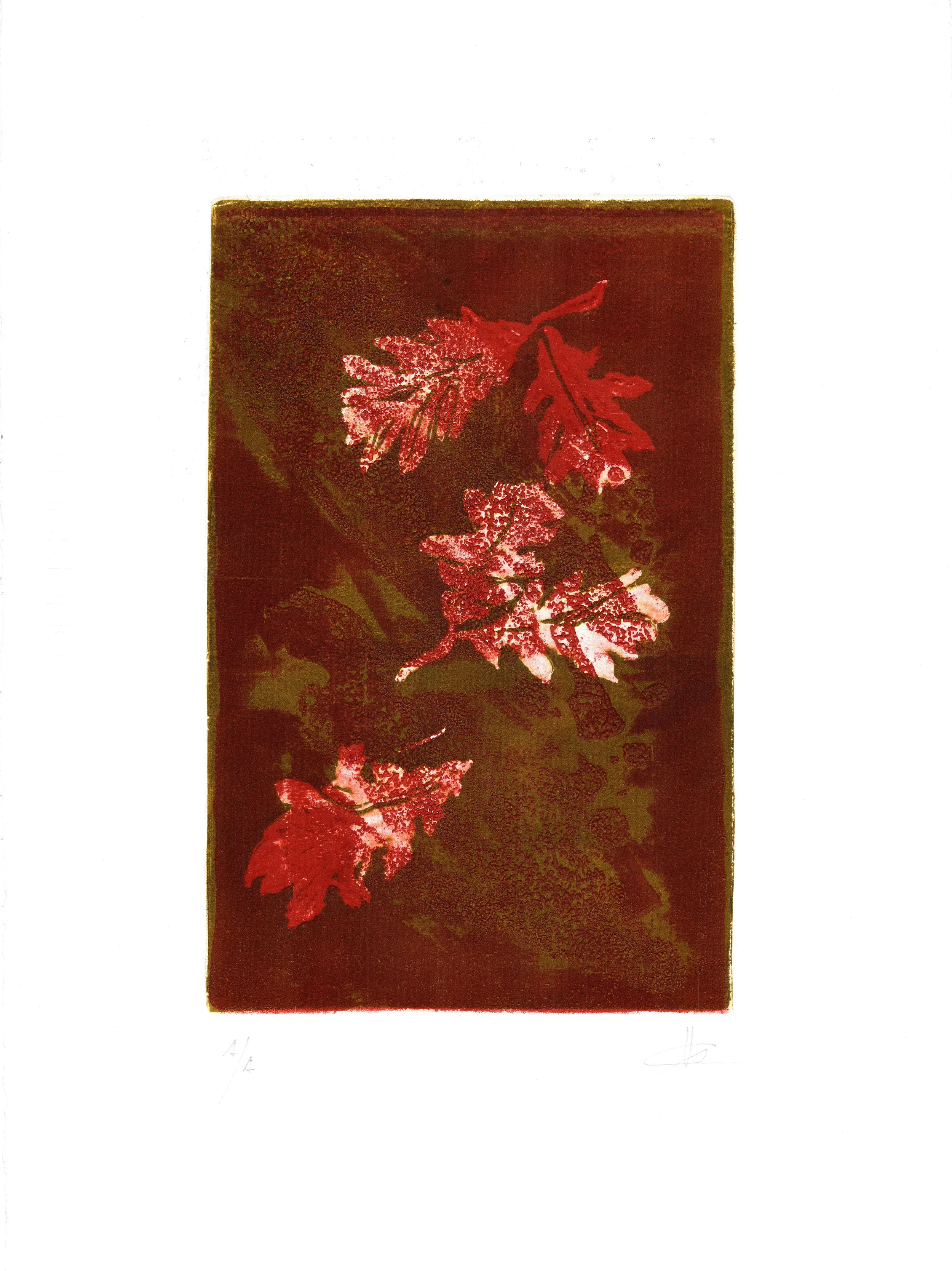 FOLLAS DE CARBALLO III
Grabado en relieve
50 x 35 cm