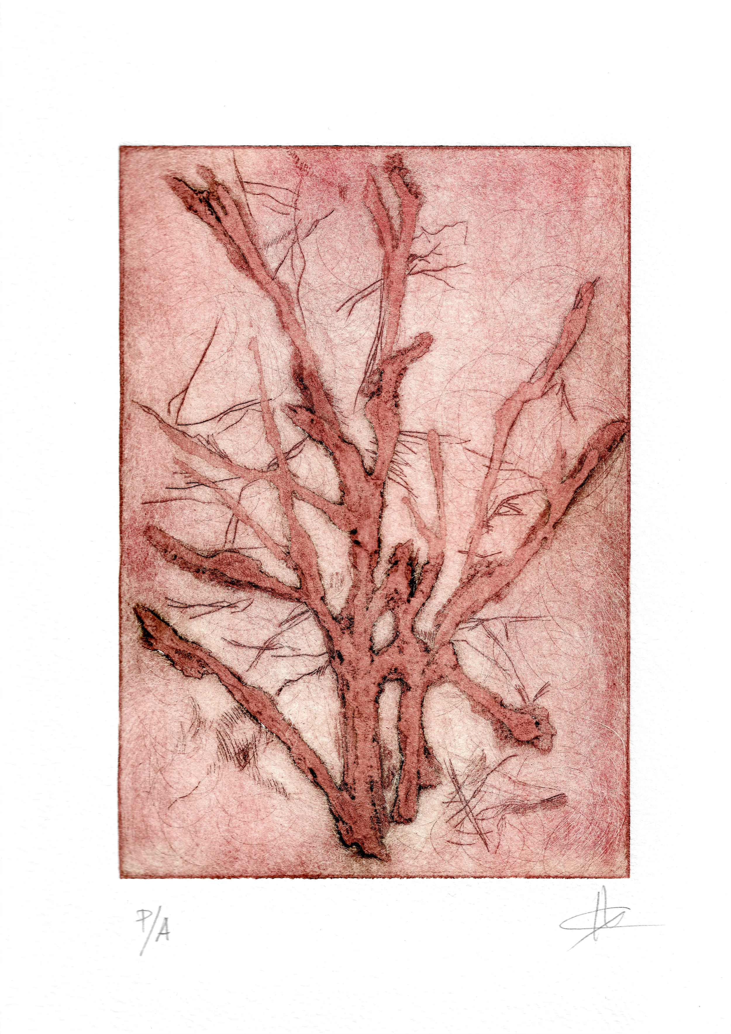 SIN TÍTULO
Grabado, técnica mixta
32 x 25 cm