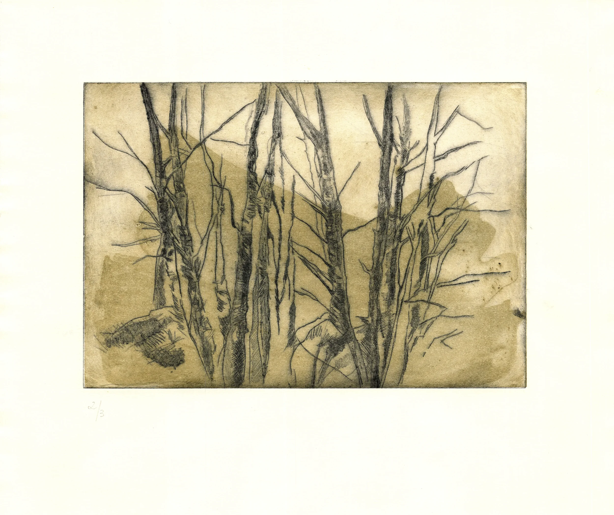 VERTICAIS COMO ÁRBORES
Calcografía y punta seca en acetato
34,5 x 51 cm