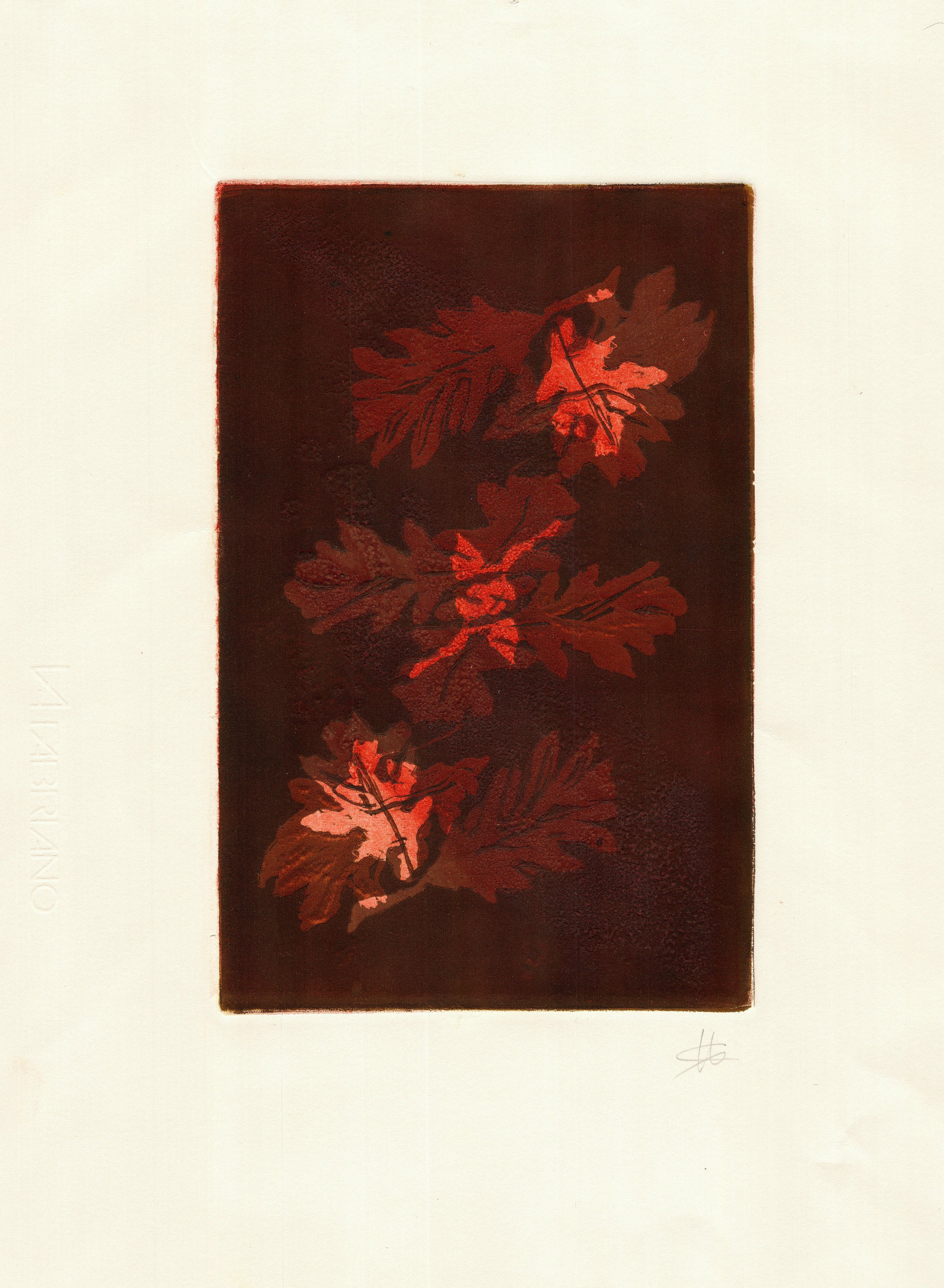 FOLLAS DE CARBALLO II