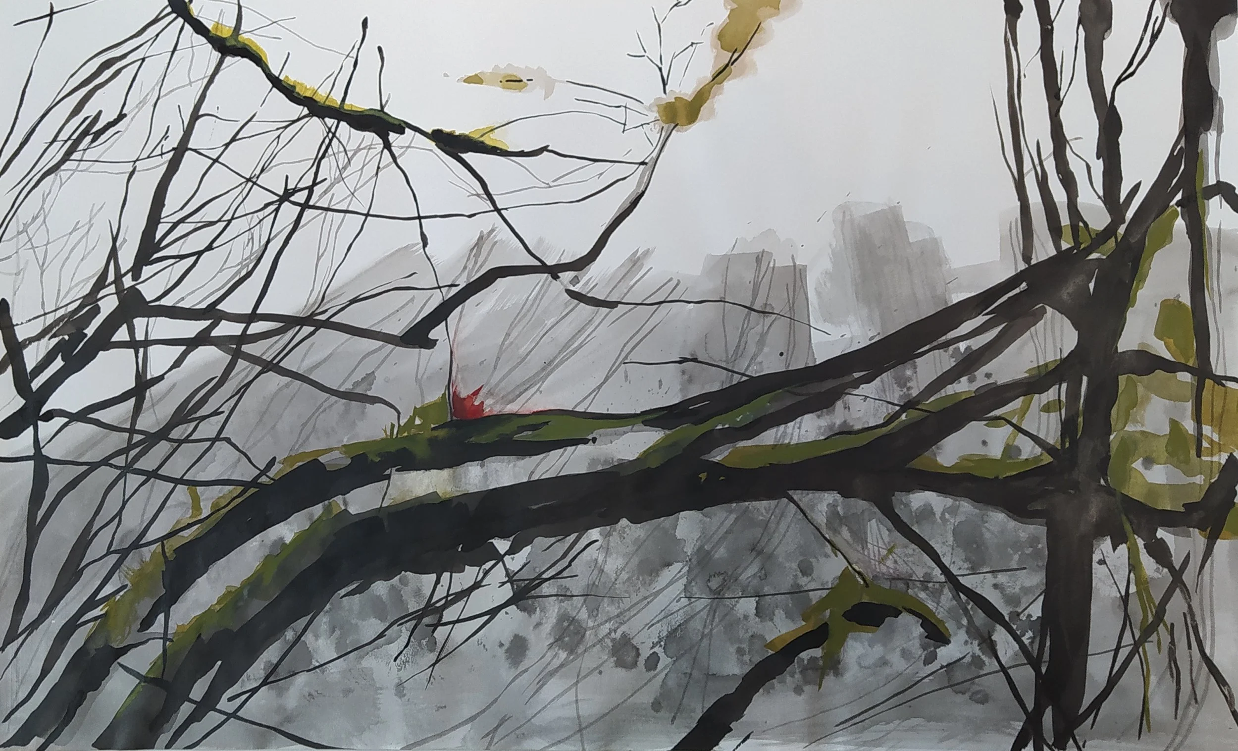 42x59 Tintas sobre papel.jpg