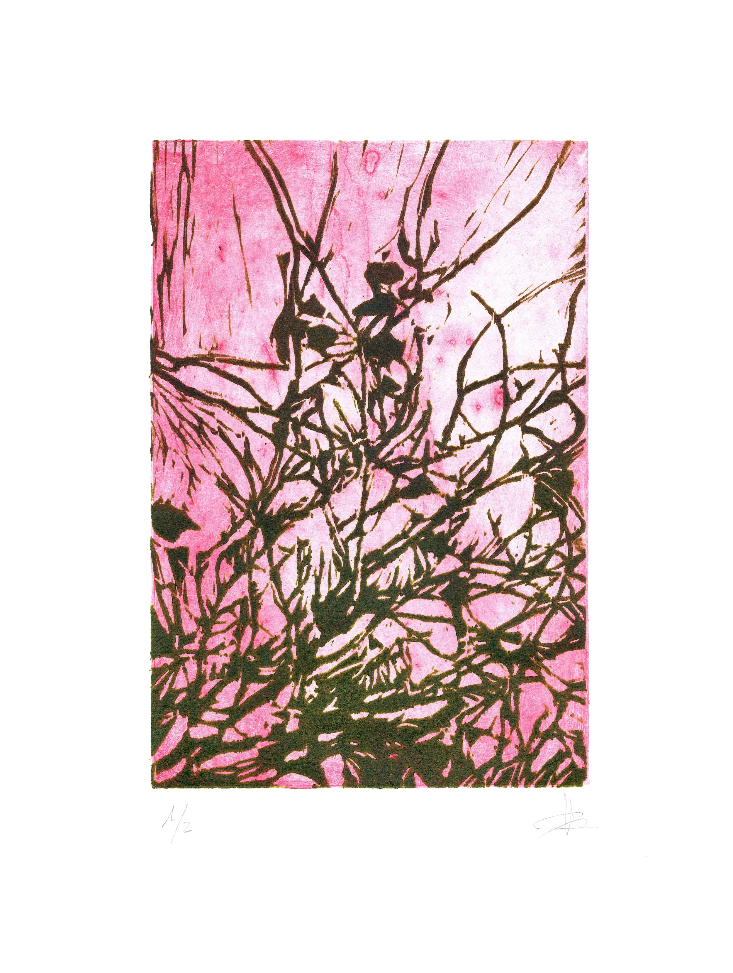 VENTO
Grabado en relieve
50 x 35 cm