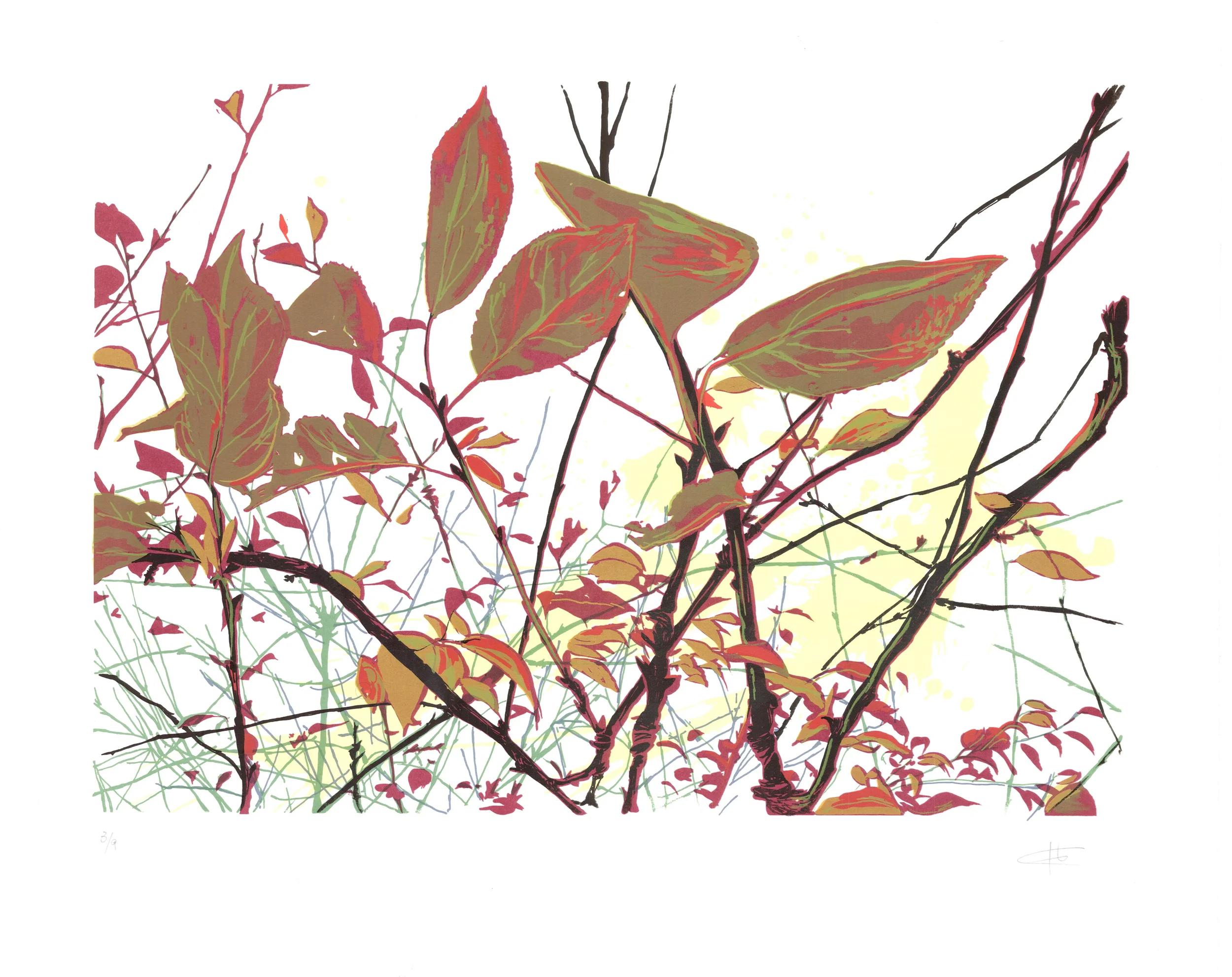 Serigrafía
57,5 x 70 cm