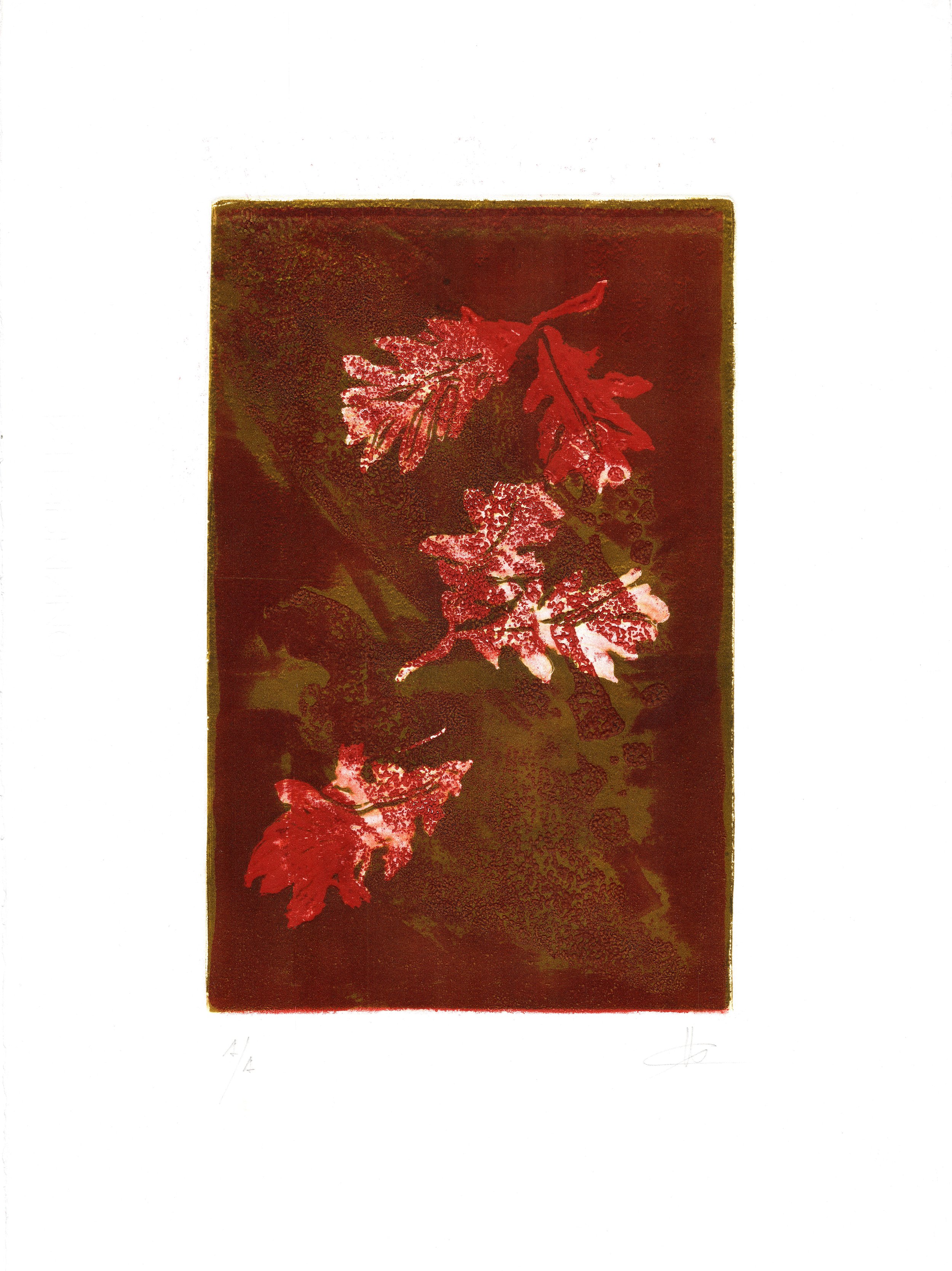 FOLLAS DE CARBALLO III