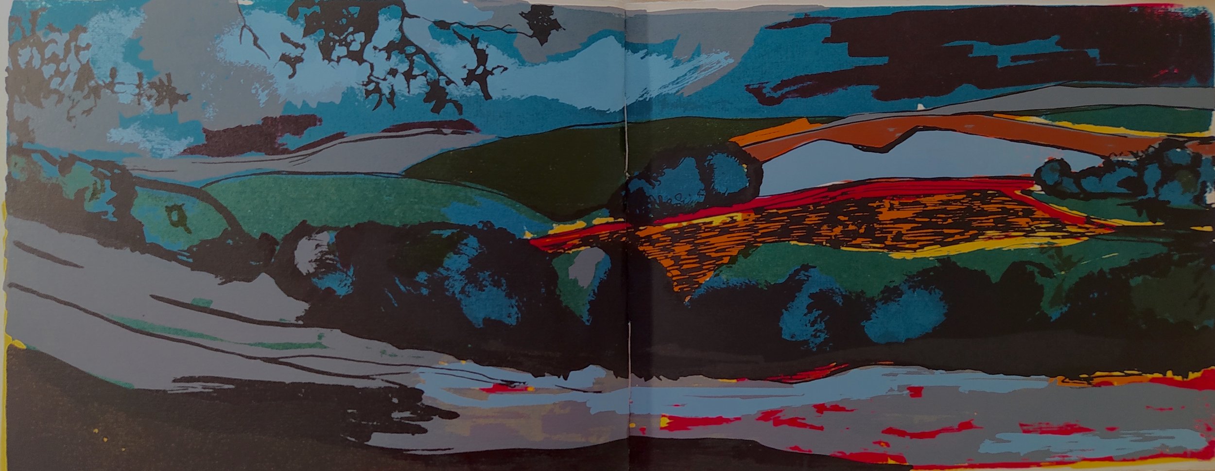 MEMORIA E ALGUNHA BUSCA V
Serigrafía
22 x 56 cm