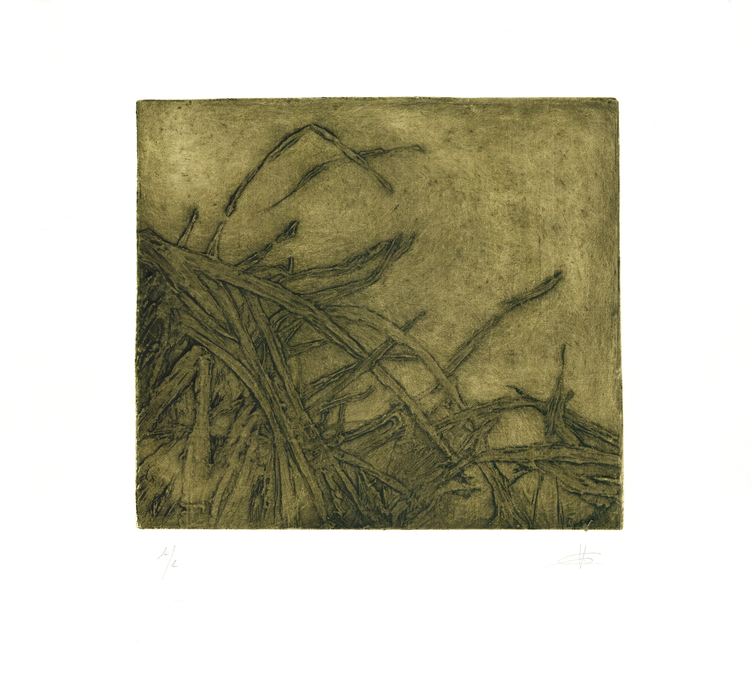 HERBAS
Collagraph
54 x 63 cm