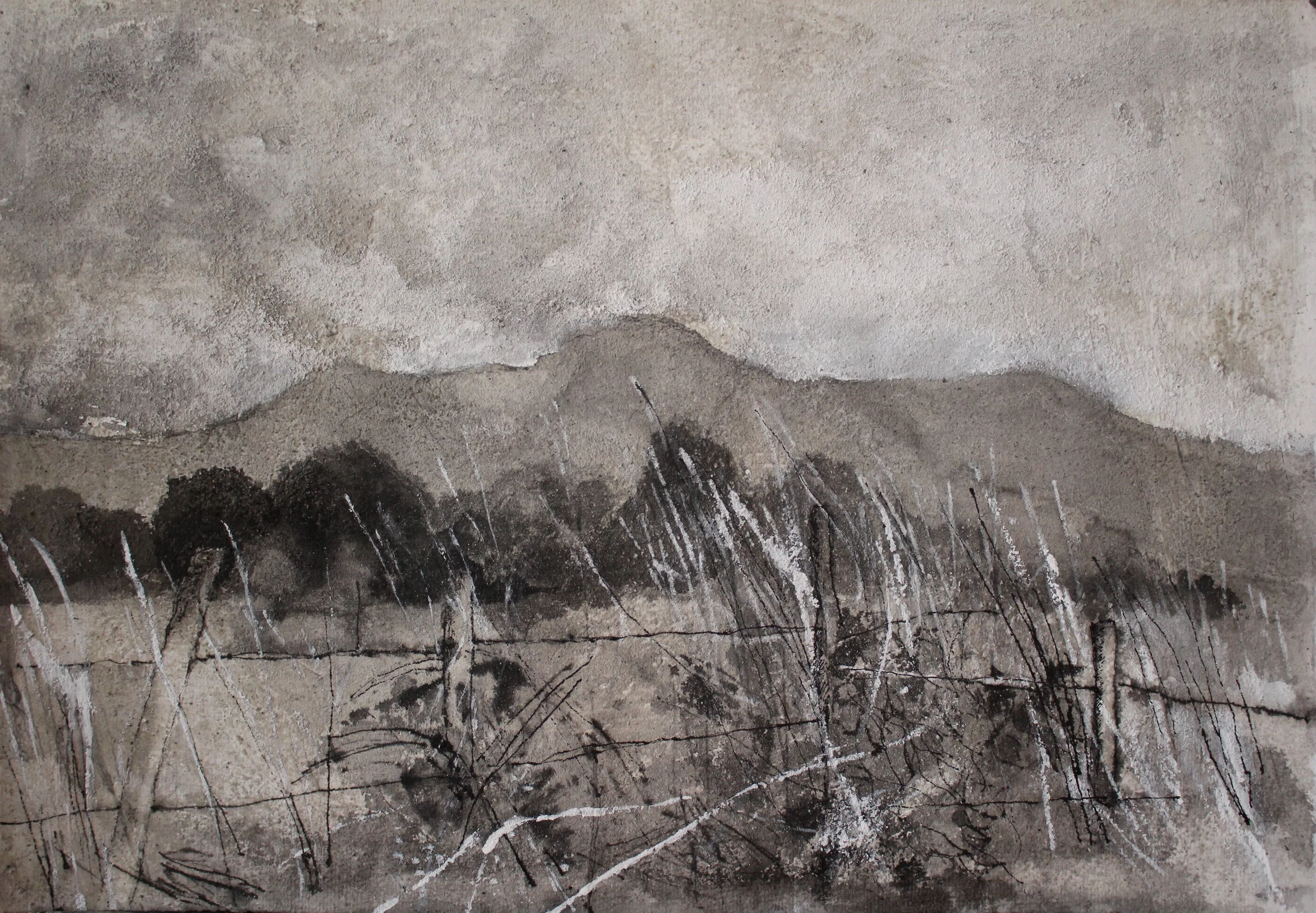 MONTE IRIBIO II
Polvo de mármol, tinta china y acrílico sobre papel
35 x 50,5 cm