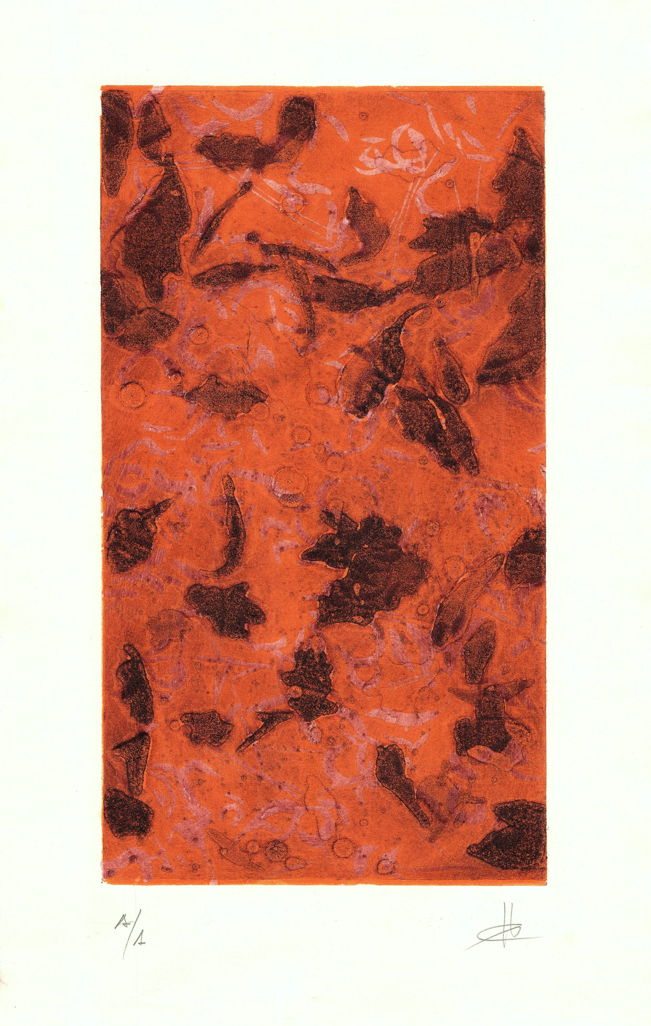 CORPO EN SUSPENSIÓN III