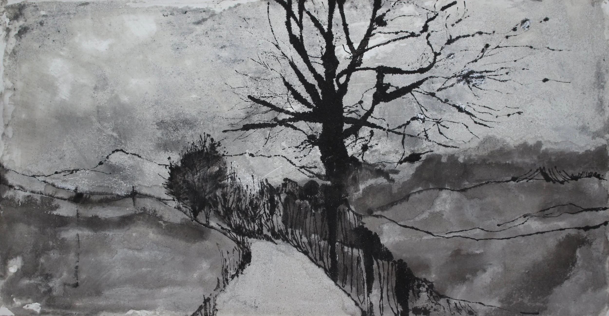 1. Grafito sobre papel.JPG