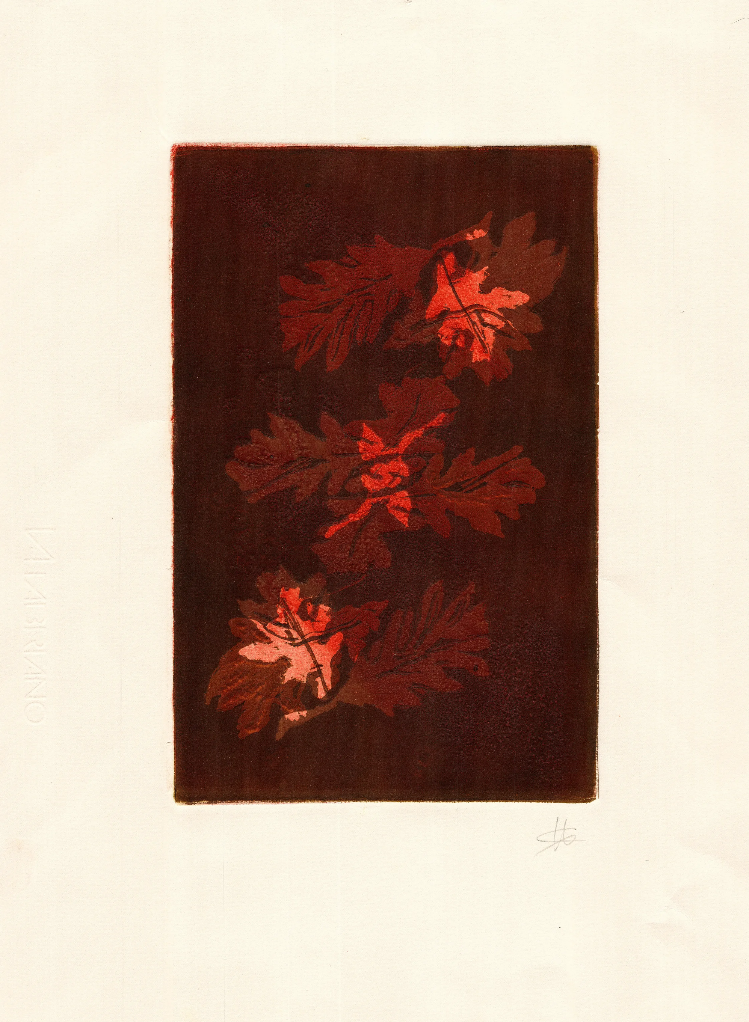 FOLLAS DE CARBALLO II
Grabado en relieve
50 x 35 cm