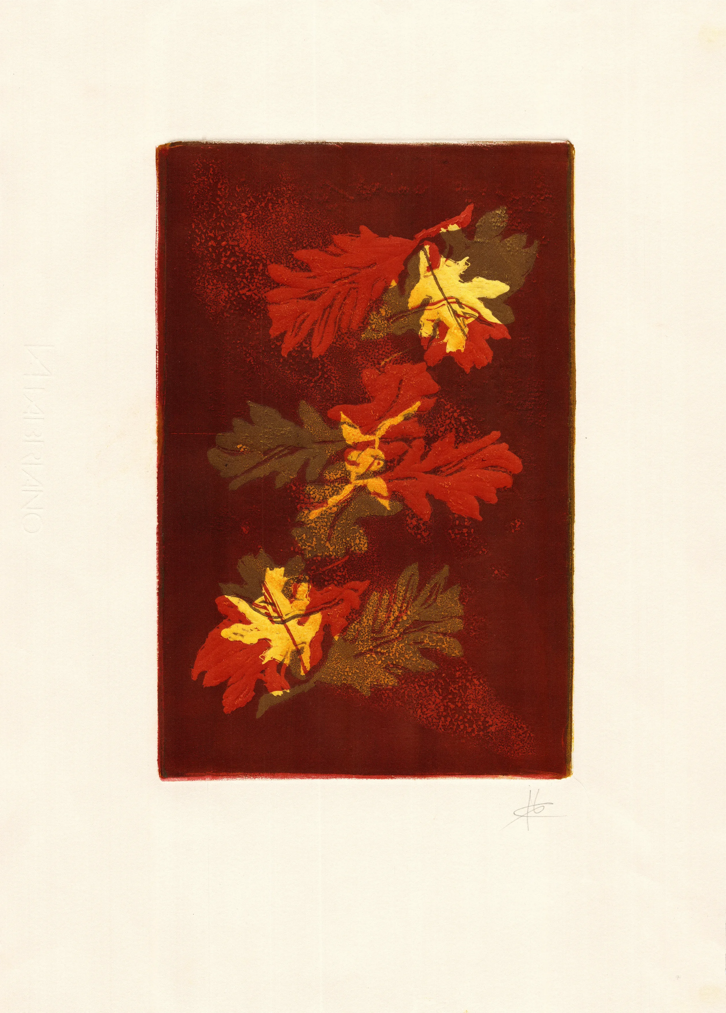 FOLLAS DE CARBALLO I
Grabado en relieve
50 x 35 cm