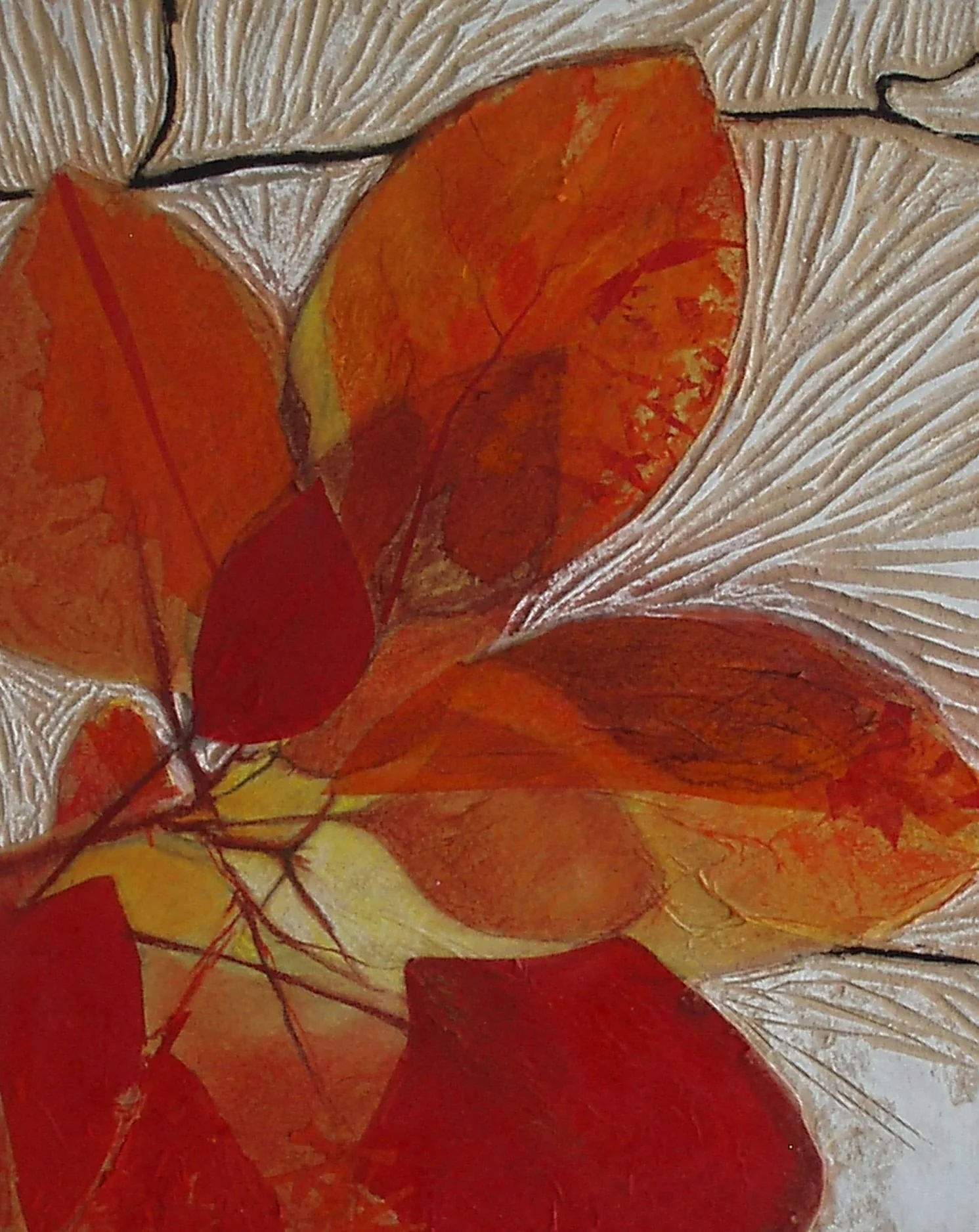 CARTOGRAFÍA VEXETAL I