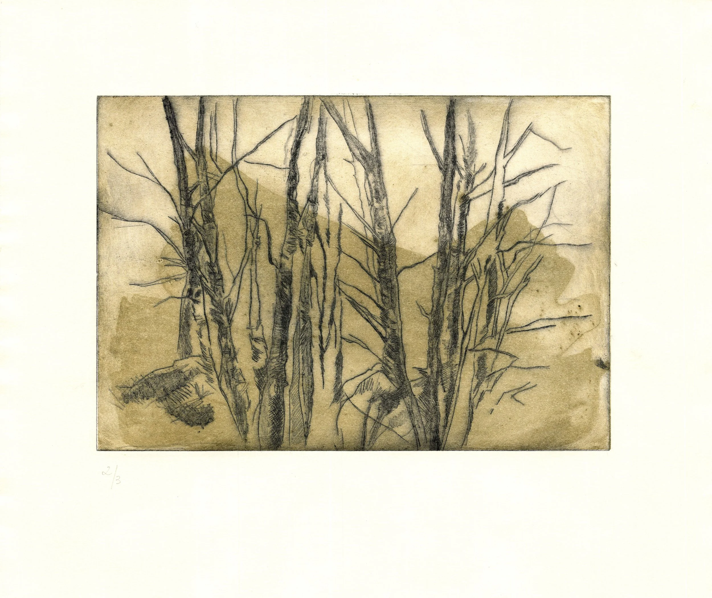 VERTICAIS COMO ÁRBORES