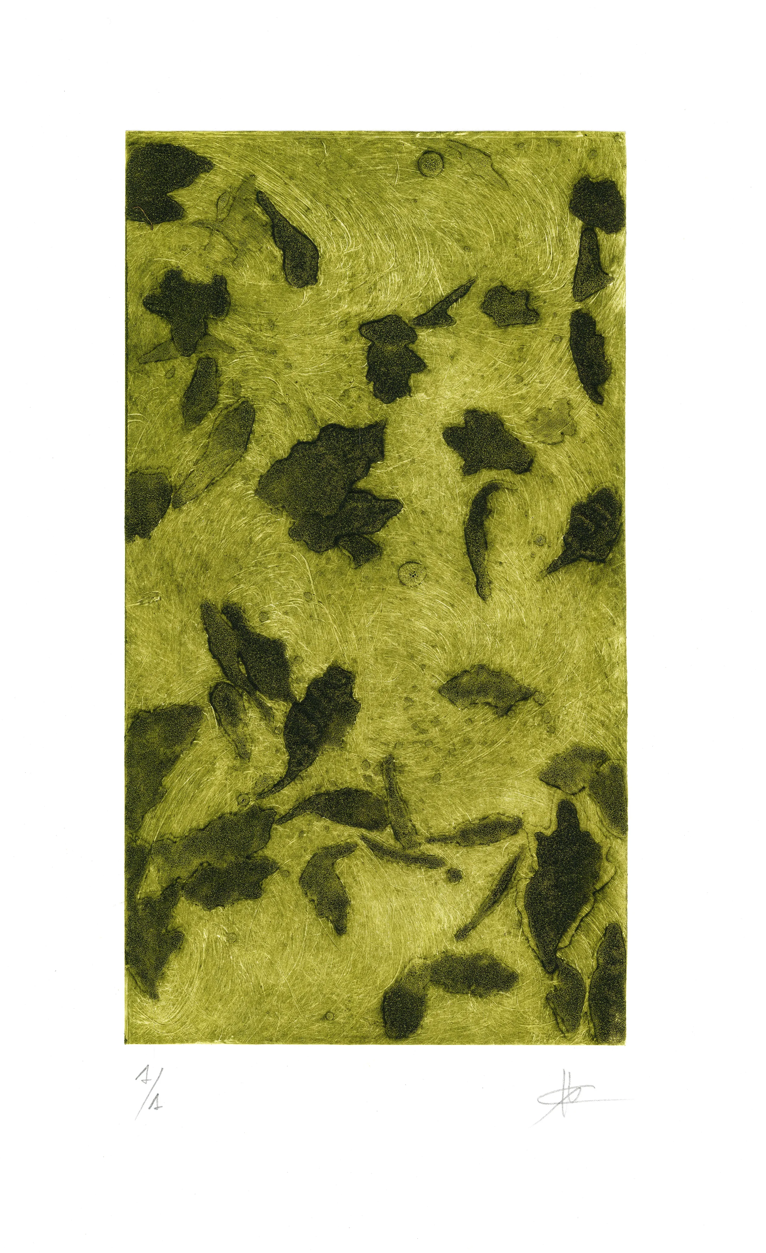 CORPO EN SUSPENSIÓN II
Monotipo
Calcografía, carborundum y punta seca en acetato
42,5 x 27 cm