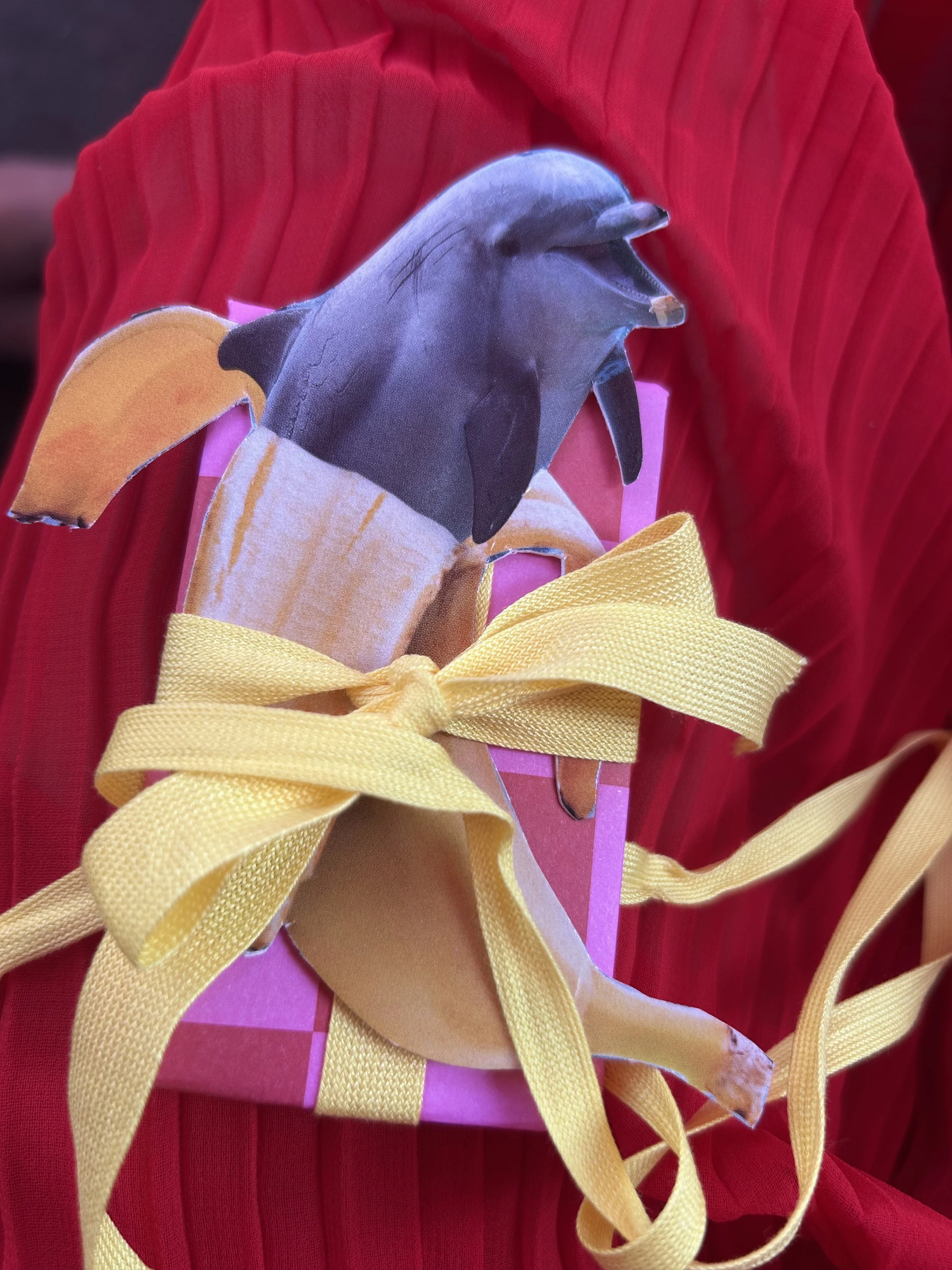 DELFIN BANANA