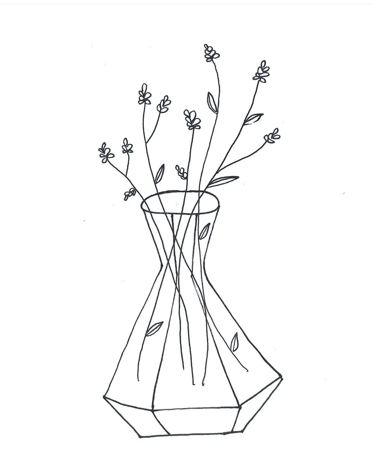 PUIK LAVENDER