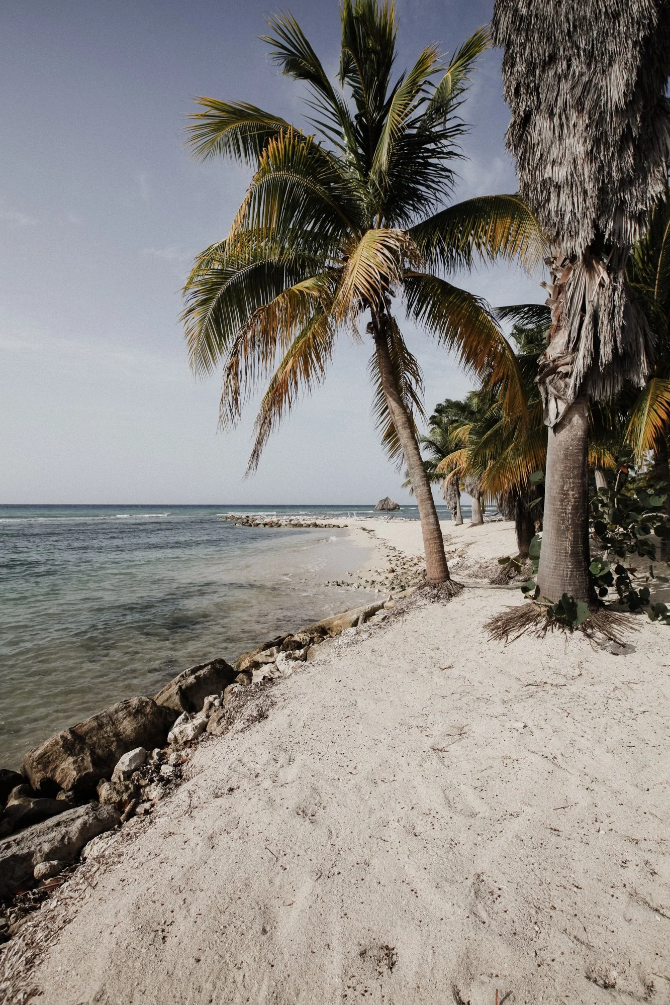 Tropical beach with white sand, palm trees, rocky shoreline, and calm ocean water under a clear sky.