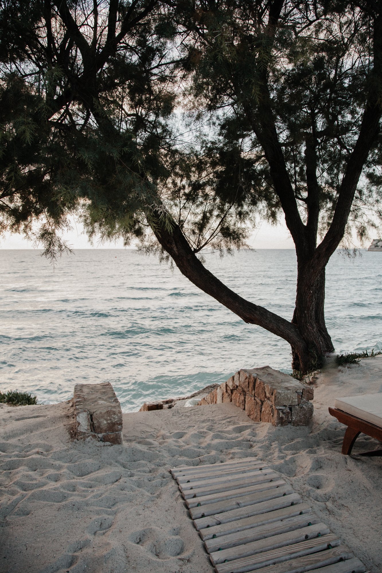 A beach with sand and a wooden pathway leading to a tree by the shoreline. The ocean is visible in the background, and the sky appears to be at sunset or sunrise.