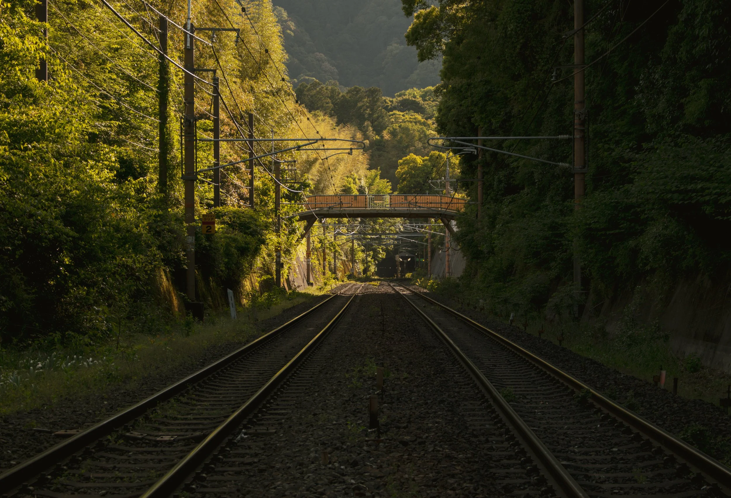View of railway tracks running through a forested area with a small bridge overhead, surrounded by lush green trees.
