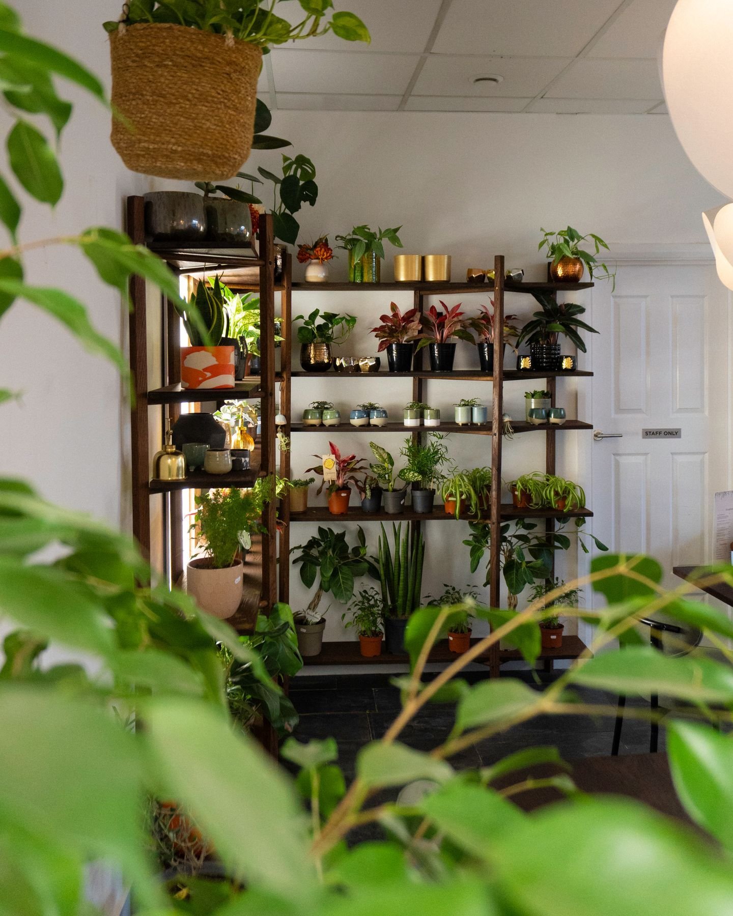 Cosy corners of our florist and cafe 🪴 have you visited us yet? We're proud to offer a welcoming space where guests can enjoy a breakfast, brunch and lunch (or even just a cuppa and a slice of cake!) 

Peruse our extensive range of plants and flower