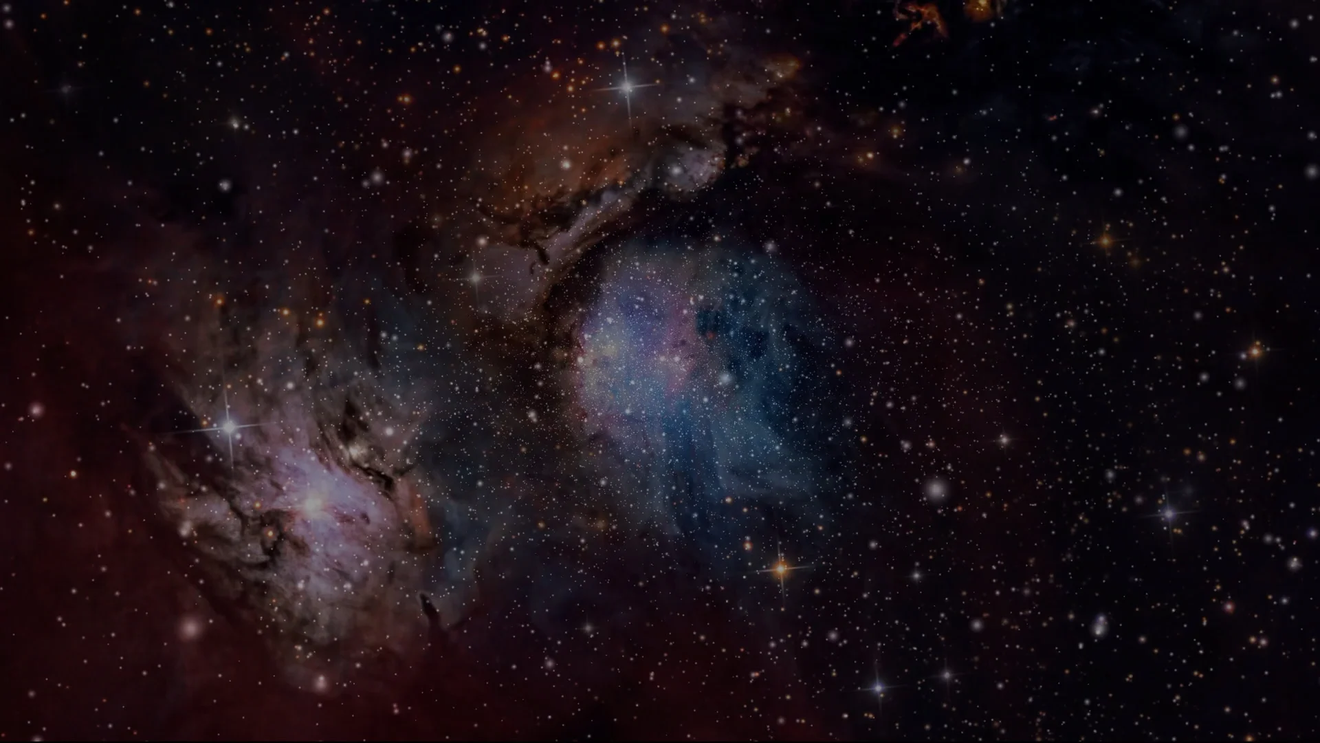 Louis XIII_Still.001.webp