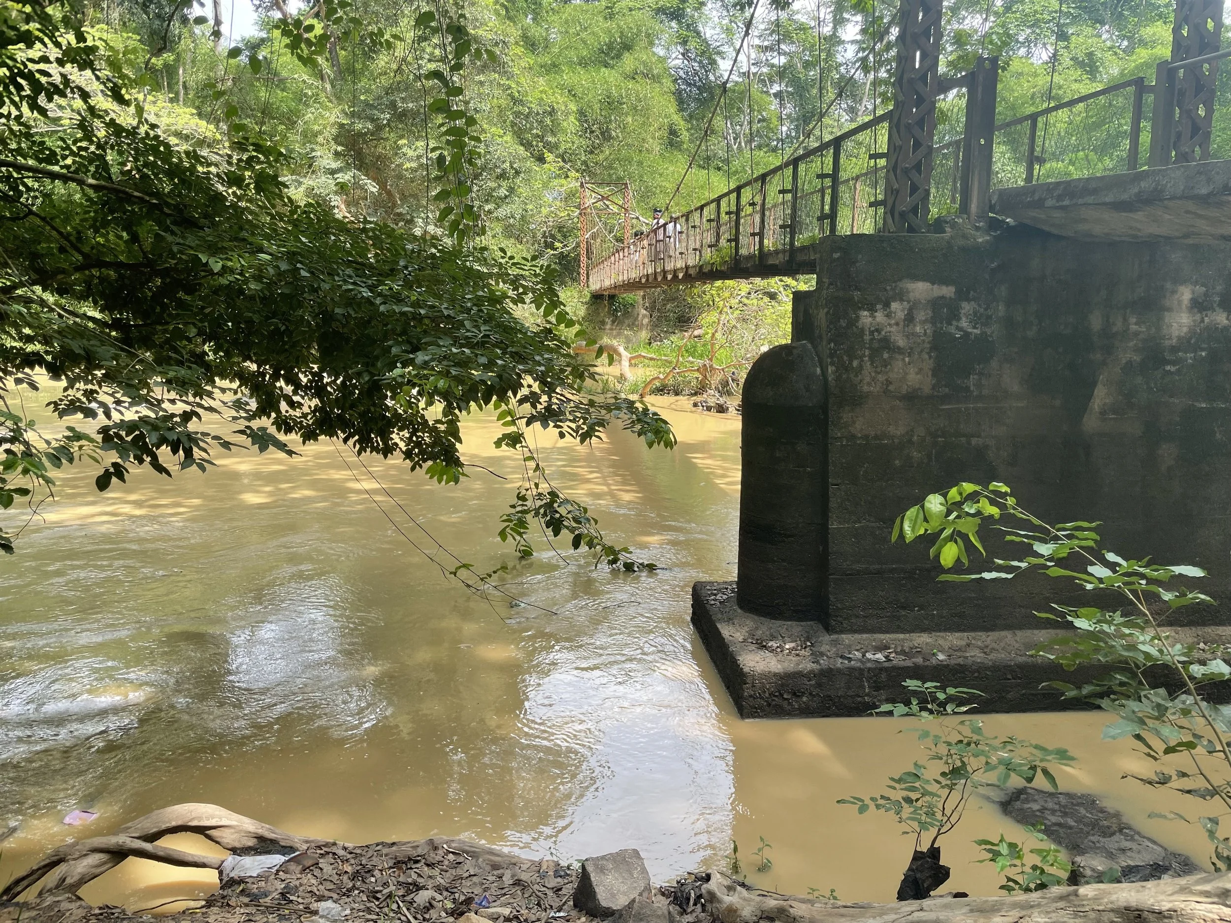 A bridge over a muddy river, surrounded by lush green trees and foliage, with part of the bridge and support structure visible.
