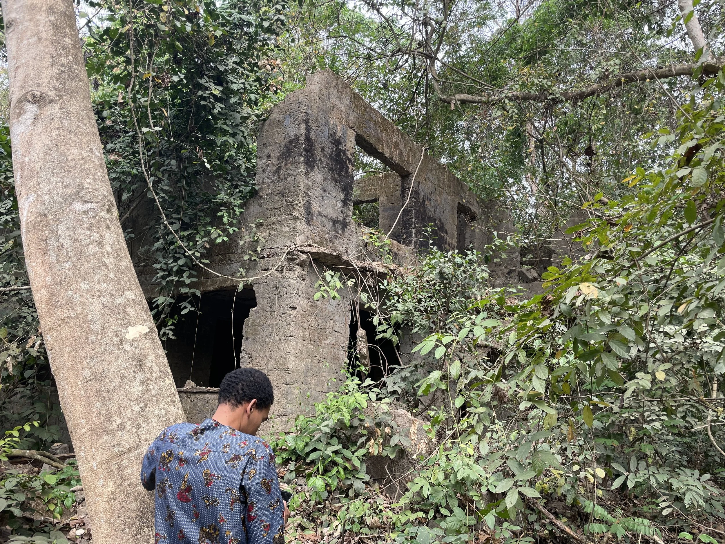 A person with short curly hair wearing a patterned jacket is standing near a large tree and an old, abandoned stone building covered with greenery in a forested area.