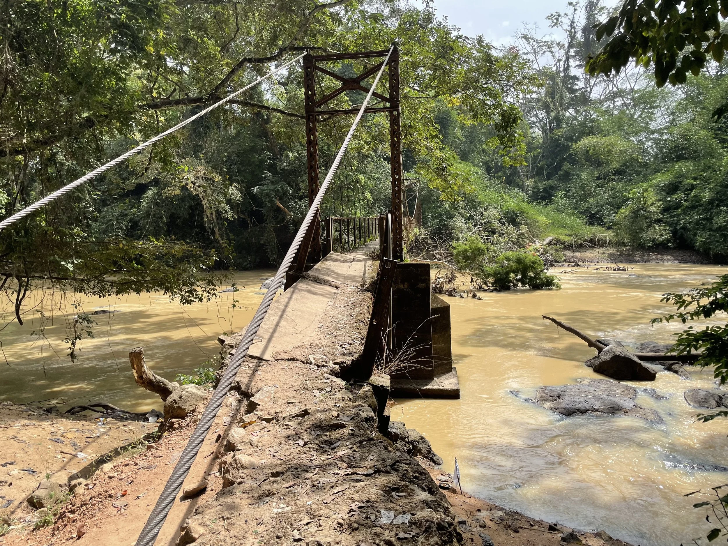 A small suspension bridge with a rotting railing spanning over a muddy river in a lush green forest.