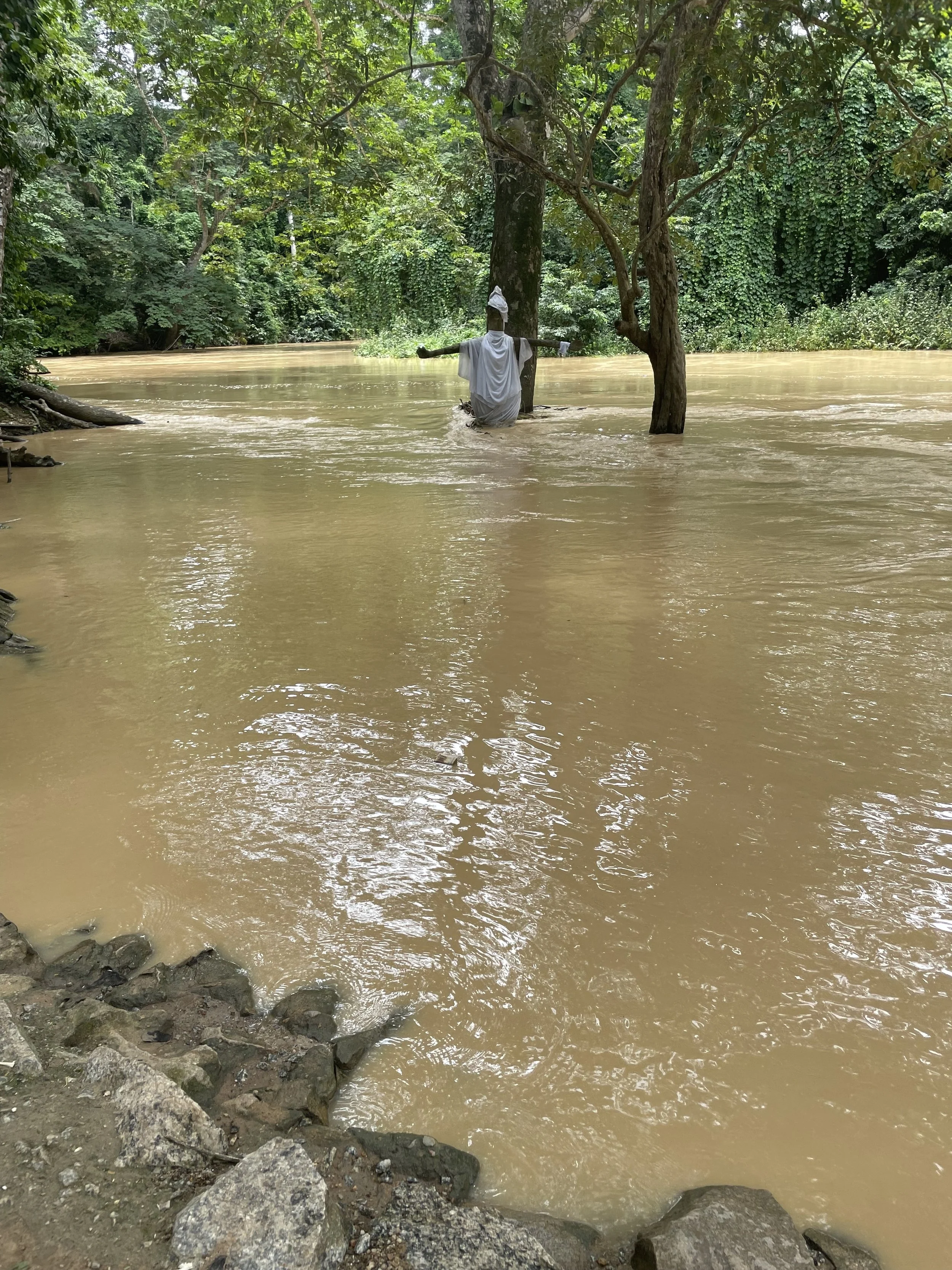 A shrine of the goddess Osun is dressed in white with a head covering stands waist-deep in a river.