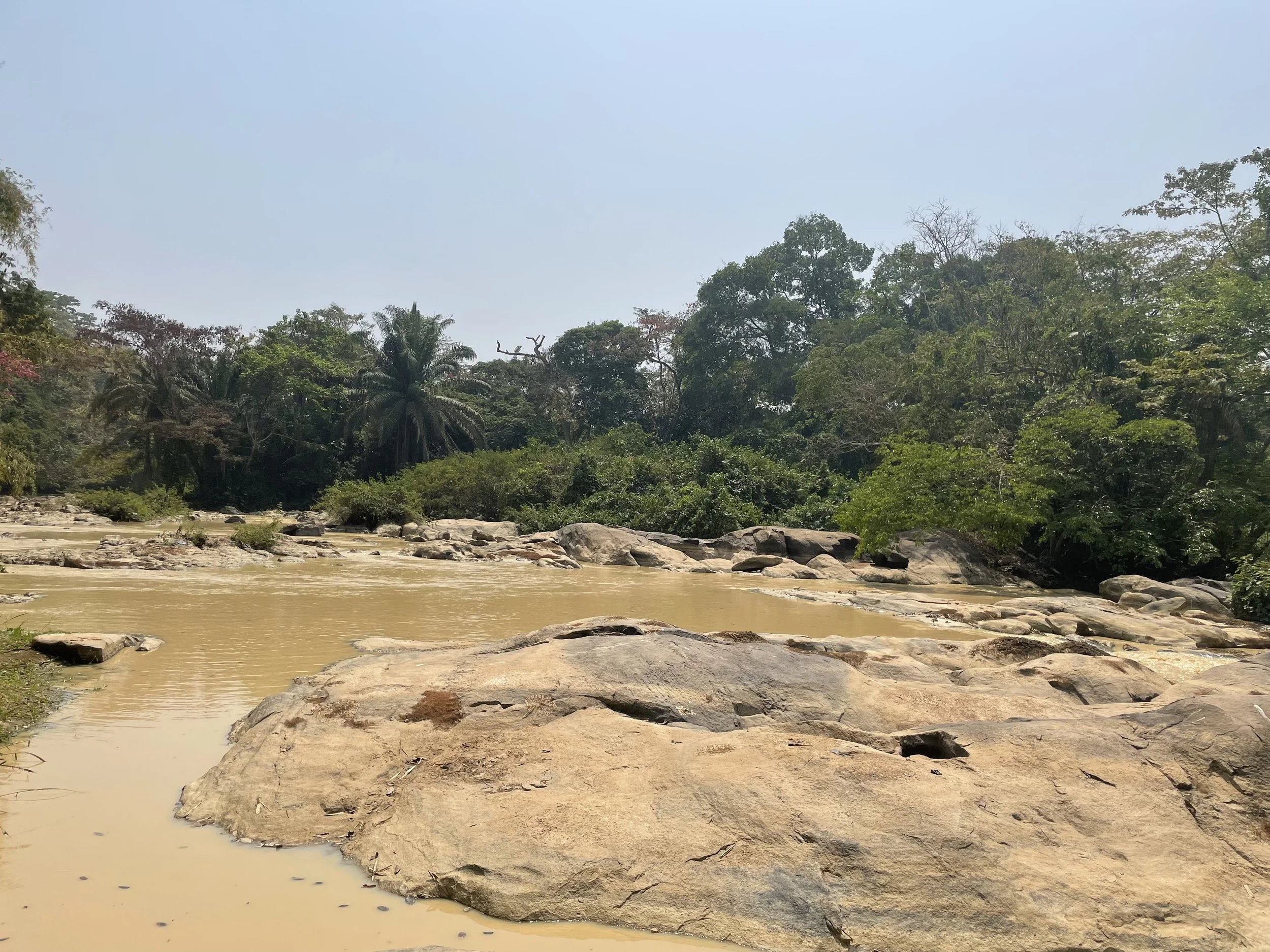 A river flowing through a lush, green tropical forest with large rocks in the water and dense trees in the background.