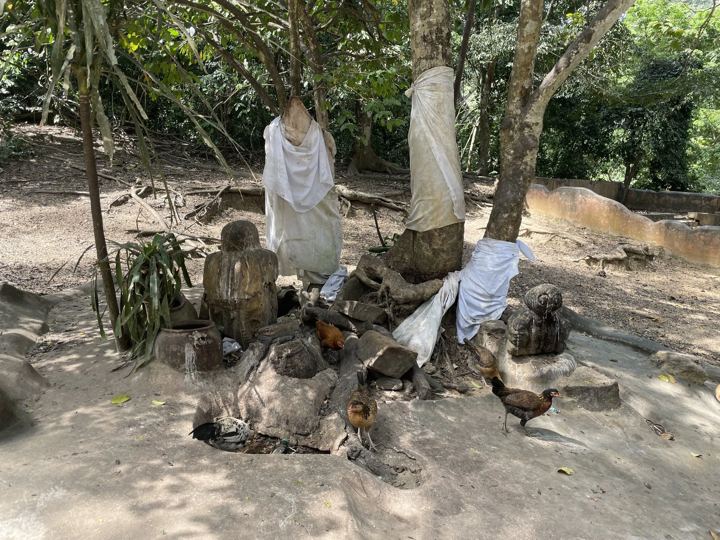 A small outdoor shrine surrounded by trees and plants, with several stone statues and sculptures, some covered with white cloths, and a few chickens walking nearby.