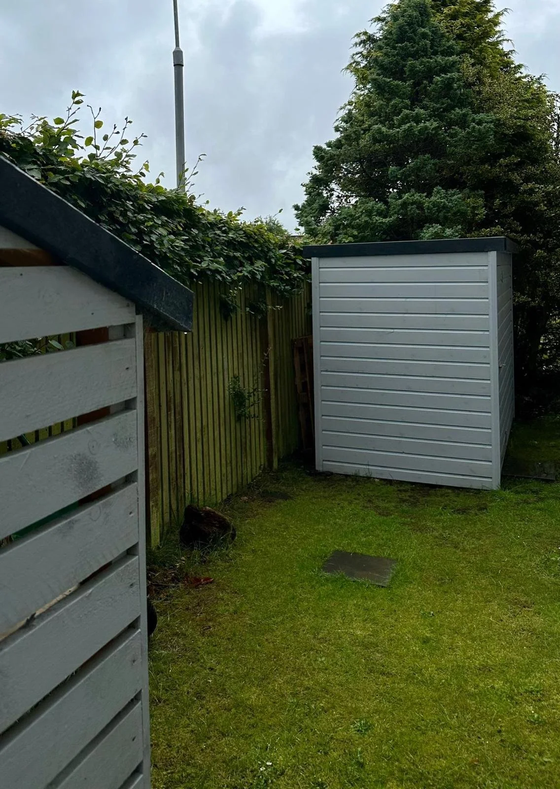 PHOTO-2025-12-09-19-20-42 2.jpg