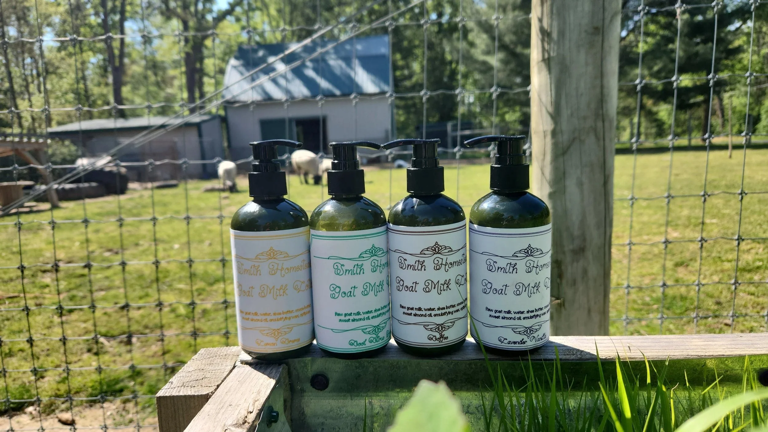 Goat Milk Lotion