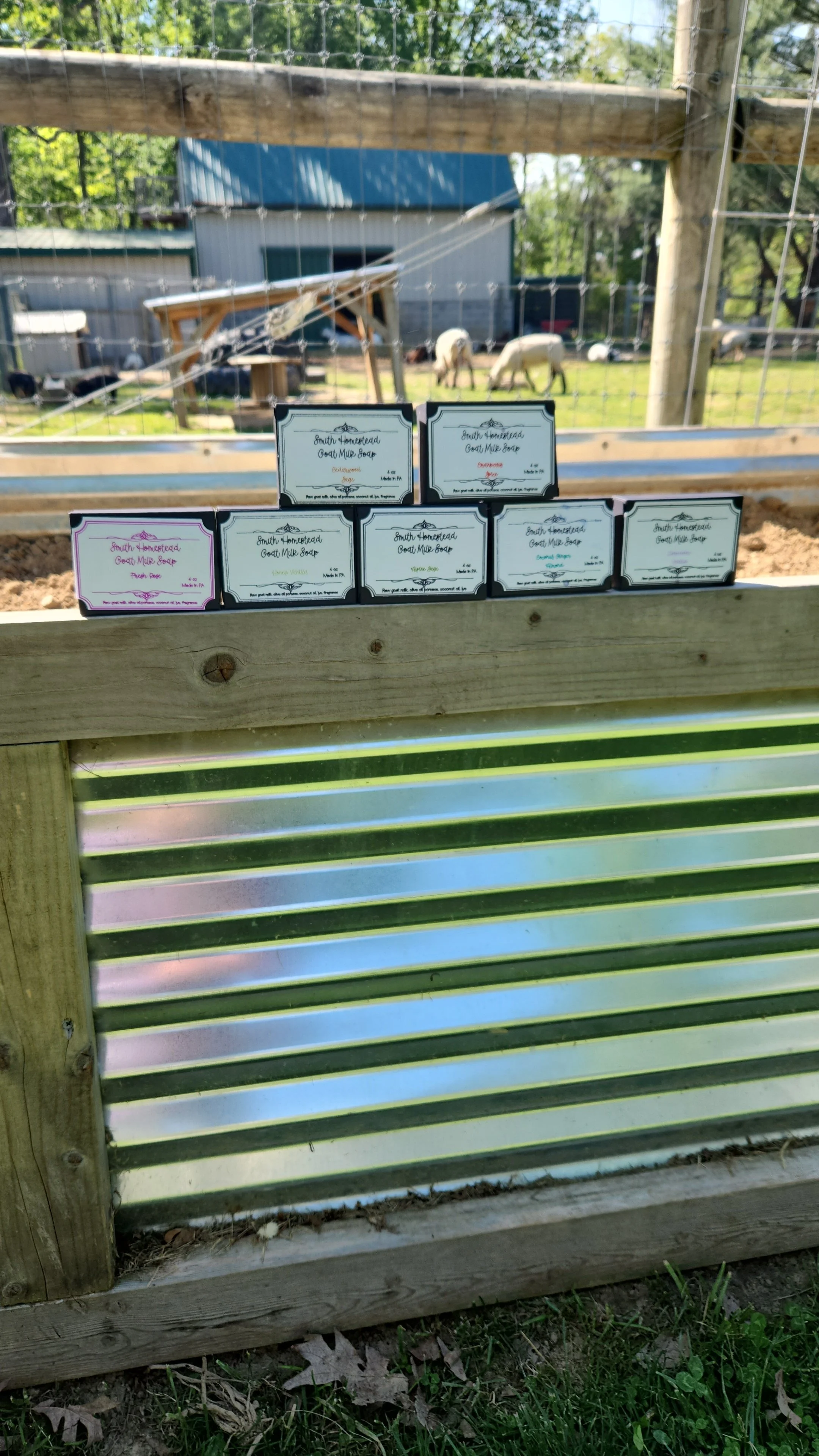 Goat Milk Soap - Scented