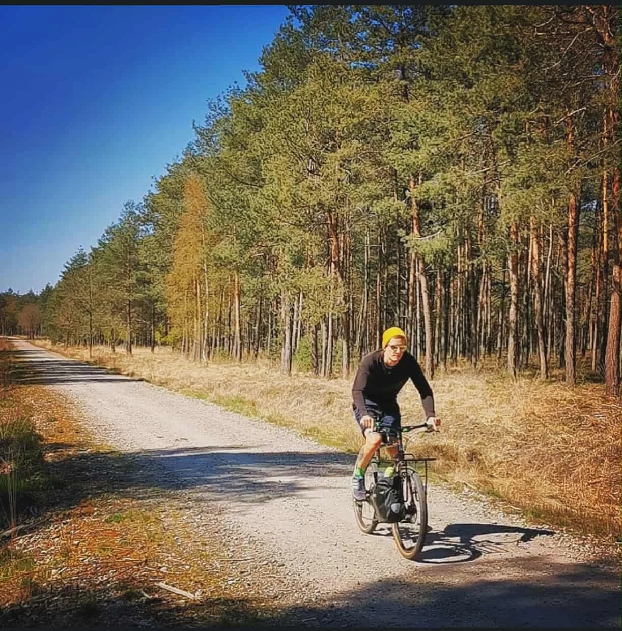 A person riding a bicycle on a dirt road through a forest with tall pine trees under a clear blue sky.