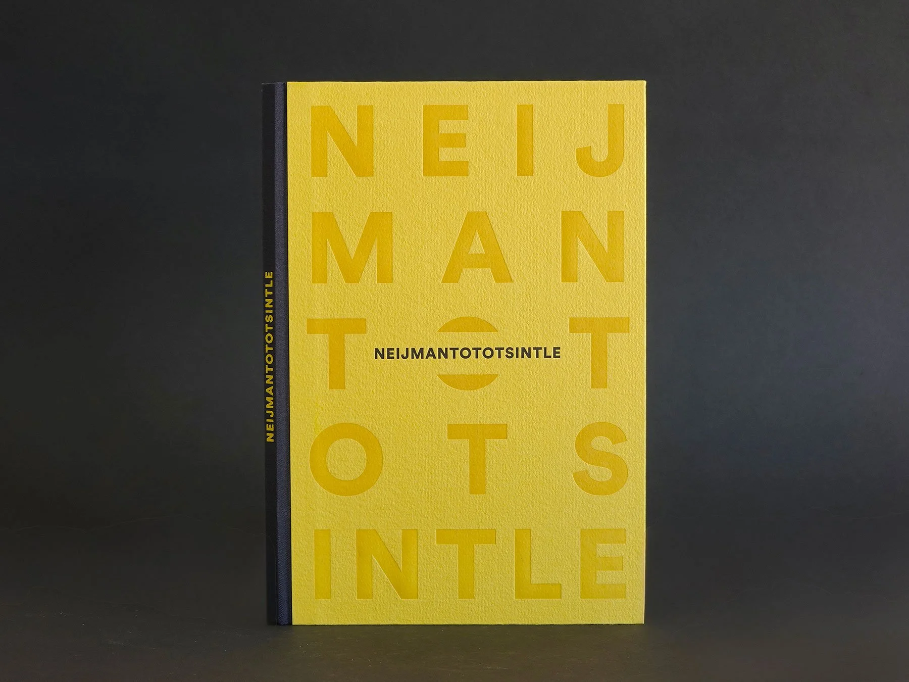 Neijmantototsintle (Sadness is a bird)
