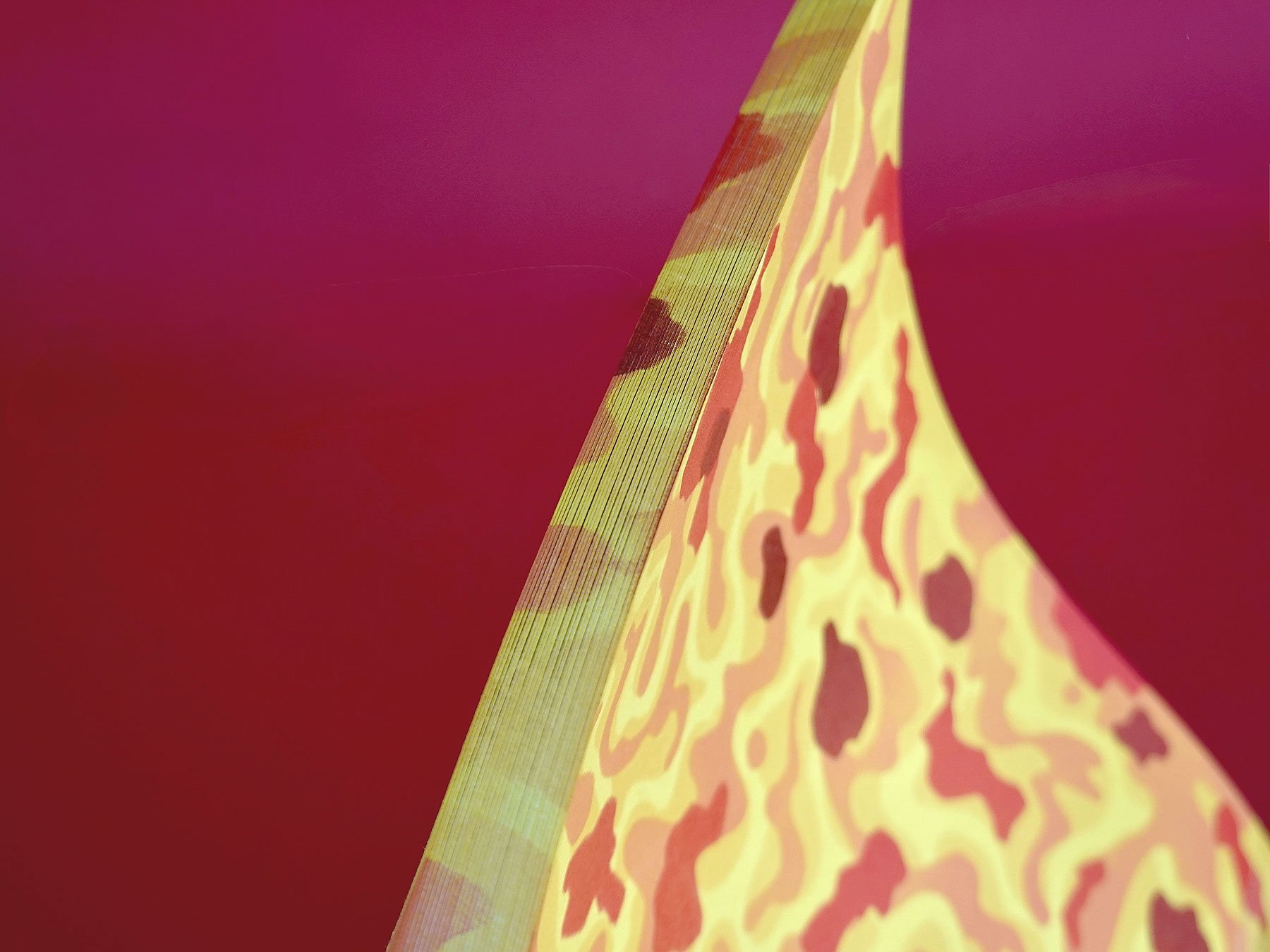Volcanos-detall2.jpg