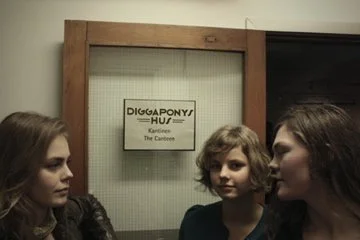 Pre Perfect Pony Performance - Diggapony