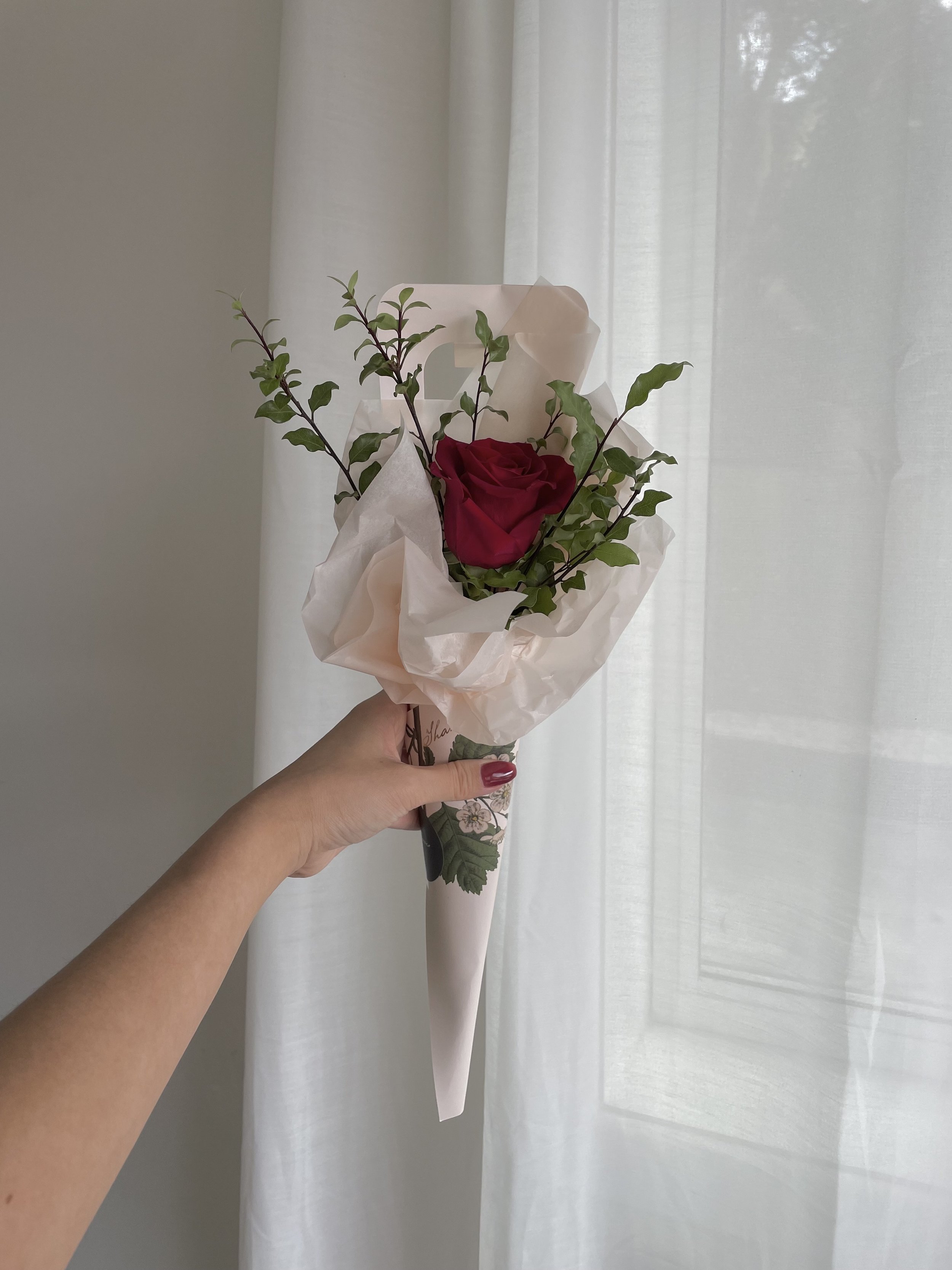 A hand holding a small bouquet of a single red rose with green leaves, wrapped in white tissue paper, in front of a sheer white curtain.