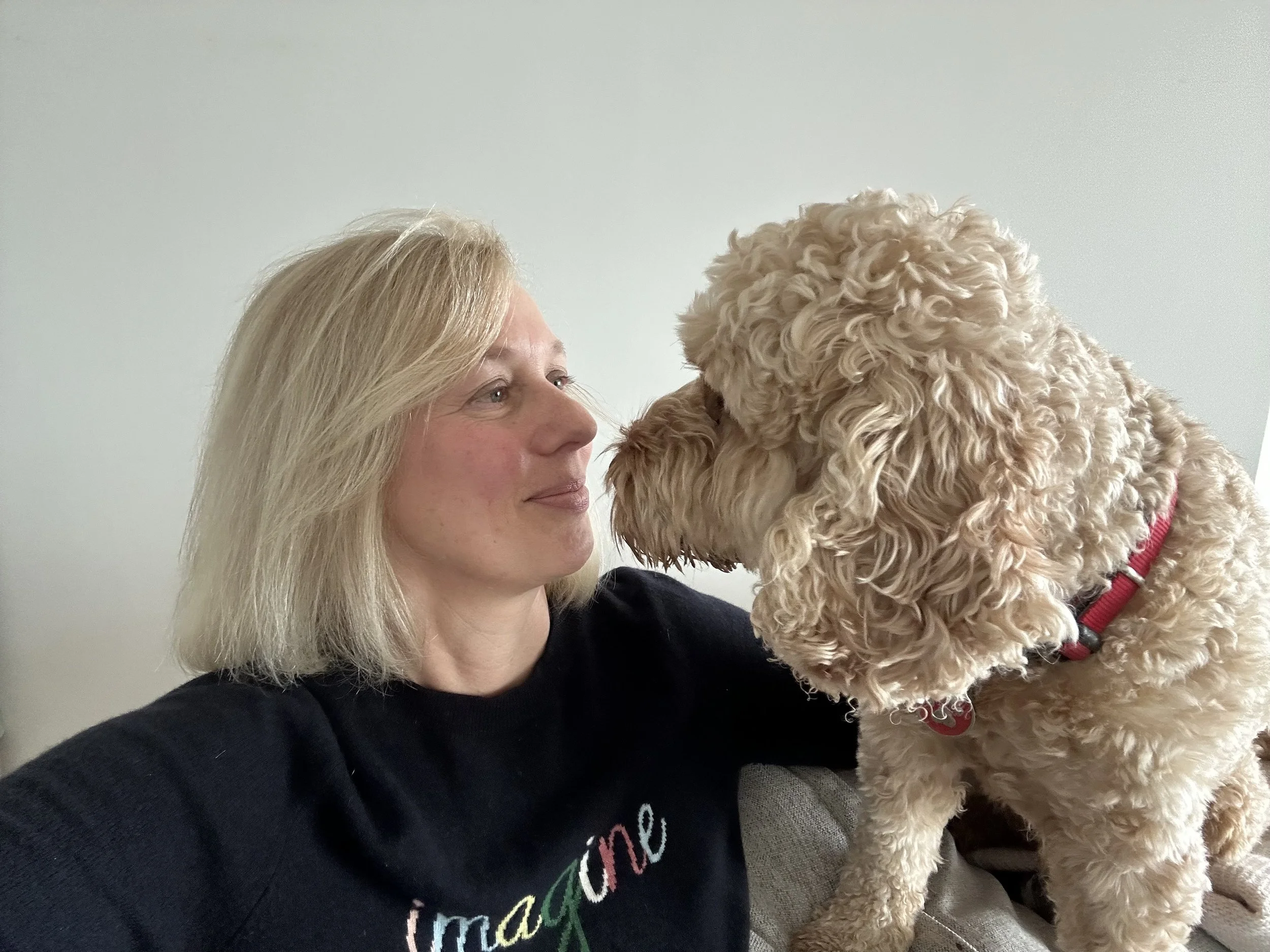 A woman with blond hair and a black shirt looking at a curly-haired light-colored dog with a red collar, sitting on her lap on a gray couch against a white wall.