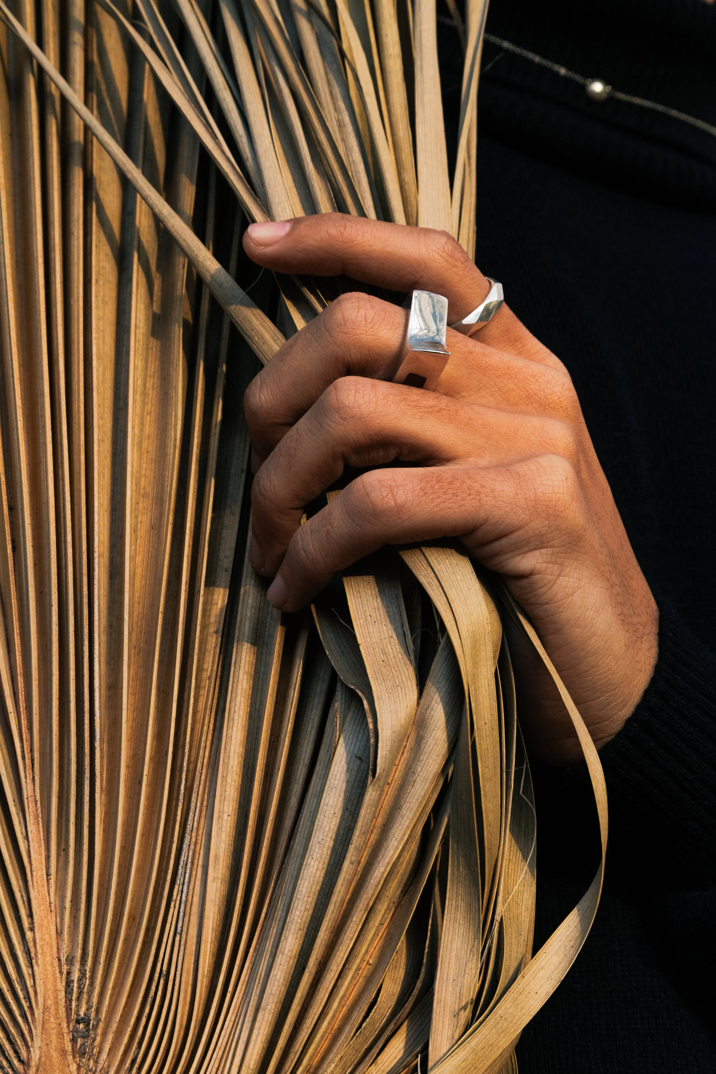 Hand and Dry Leaf.jpg