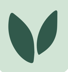 Illustration of two green leaves on a light green background.