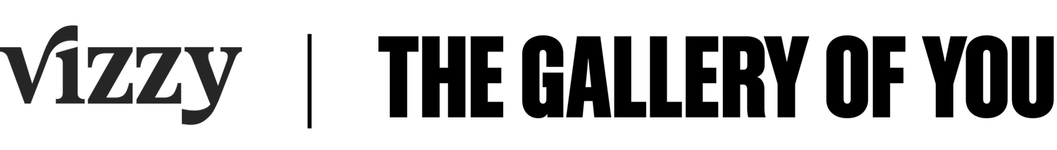 Vizzy | The Gallery Of You 