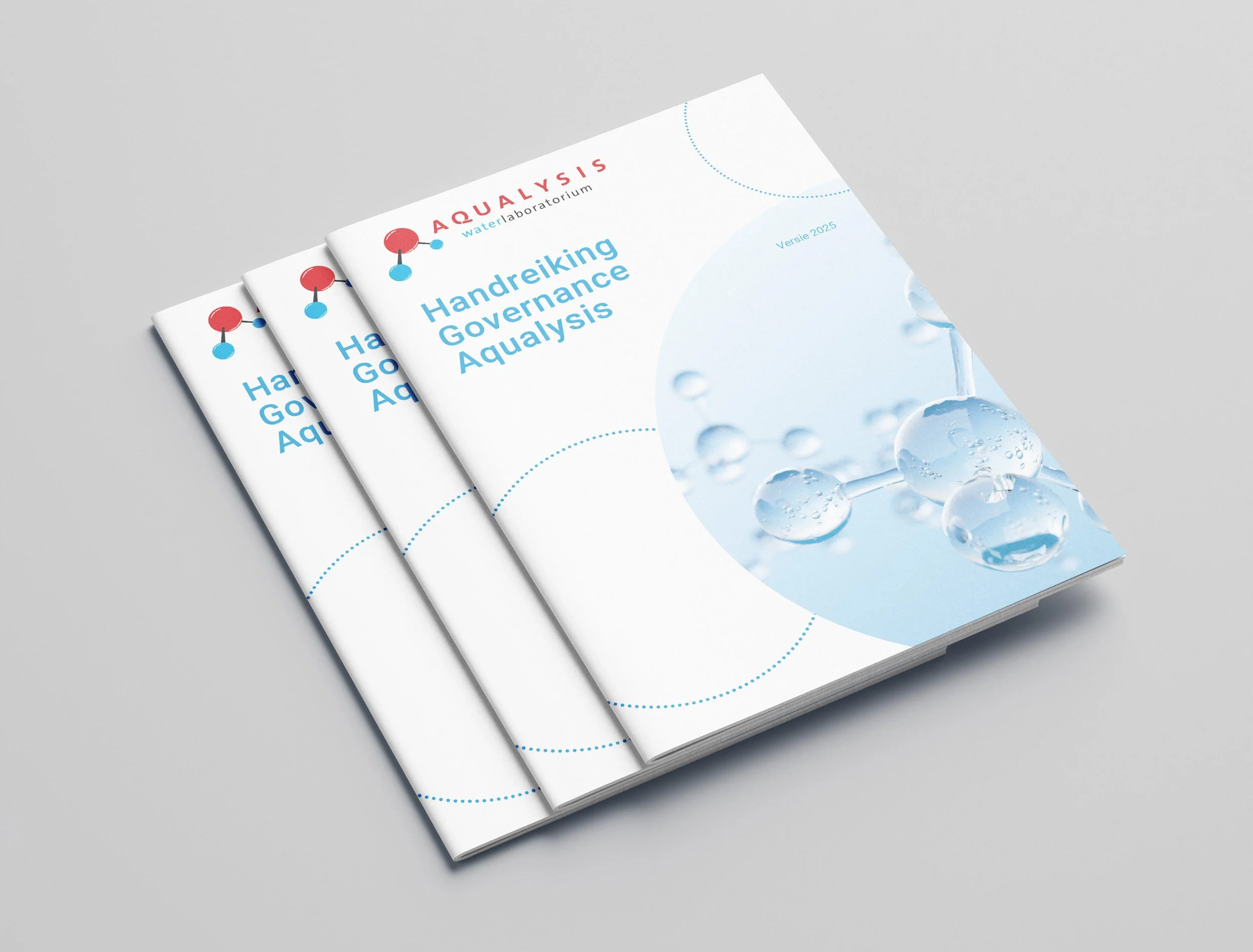 Hanreiking Governance Aqualysis_Mockup-04.jpg