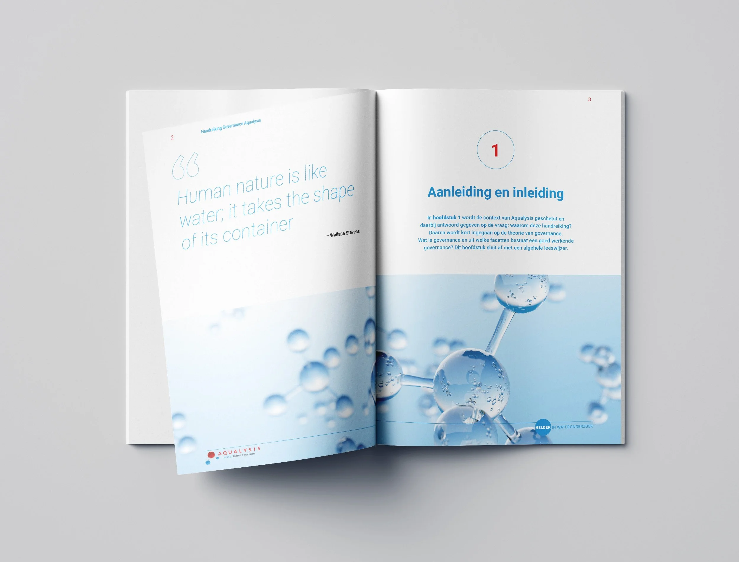 Hanreiking Governance Aqualysis_Mockup-01.jpg