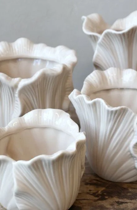 Screenshot 2026-01-04 164157.jpg (Kopie)