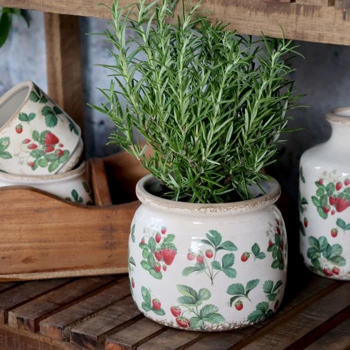 Fraises Übertopf mit Erdbeeren