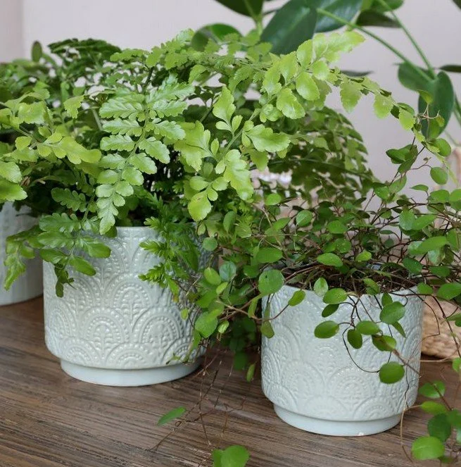 Fayence Blumentopf mit Muster